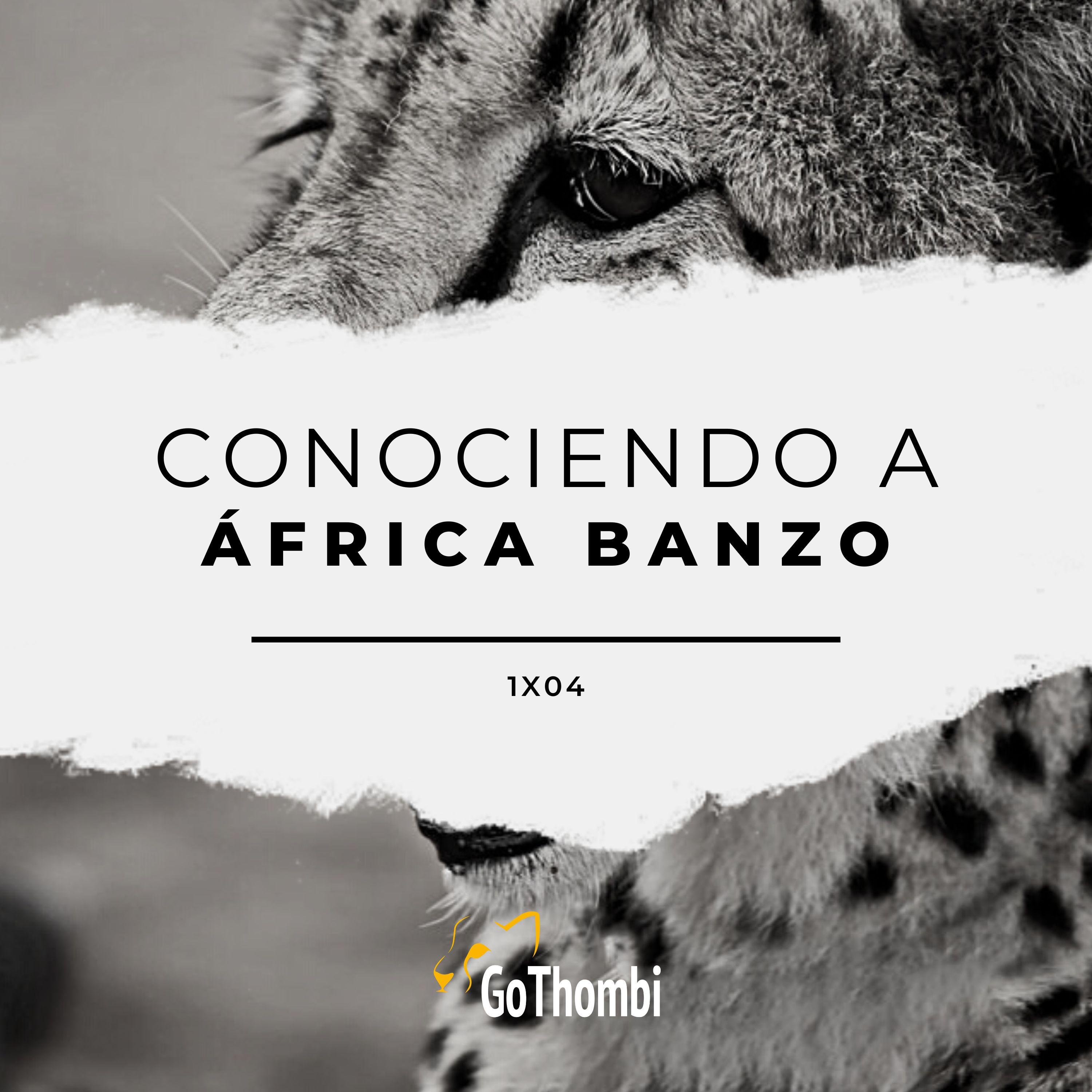 GoThombi - Viajes salvajes