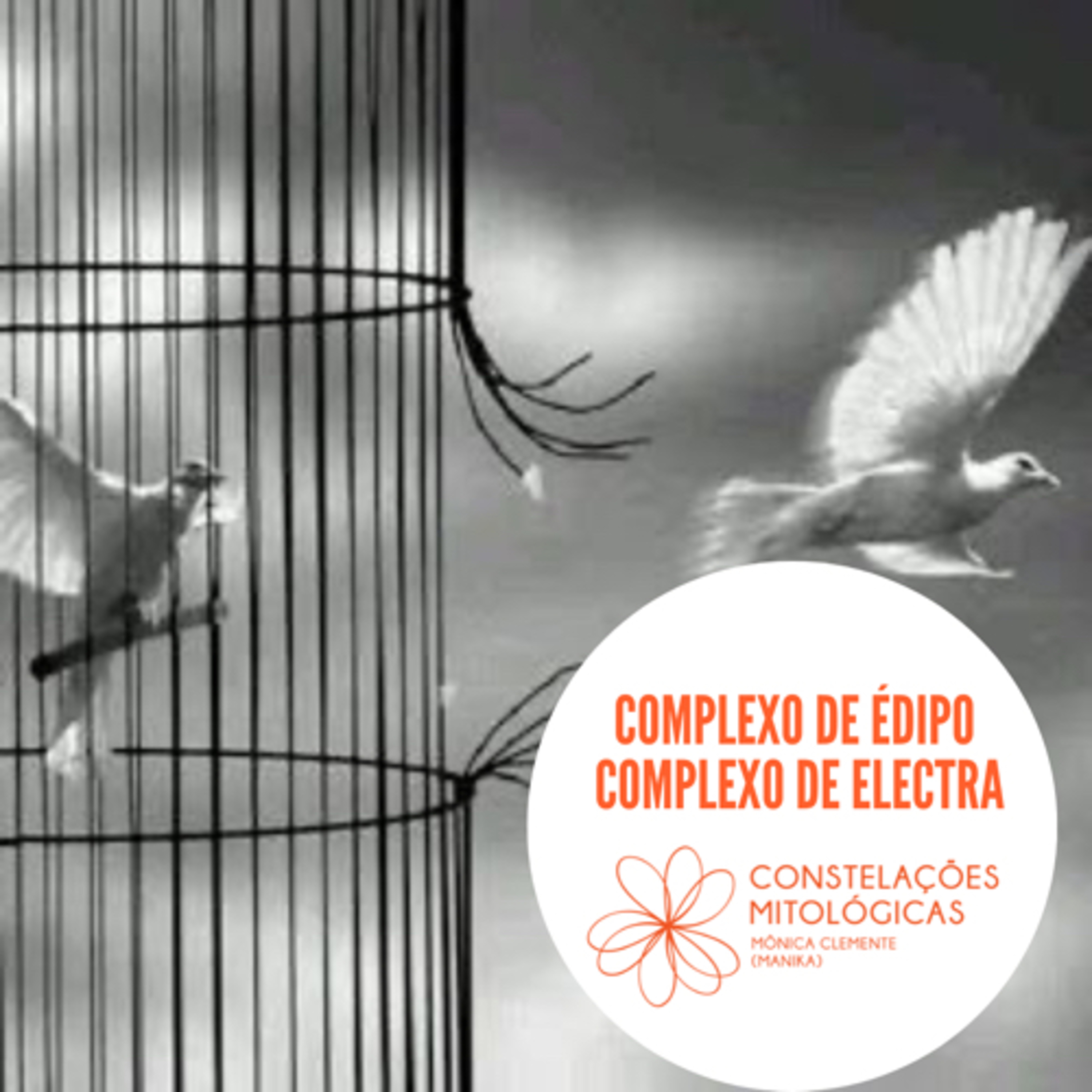 8 - Complexo de Édipo e de Electra episode artwork