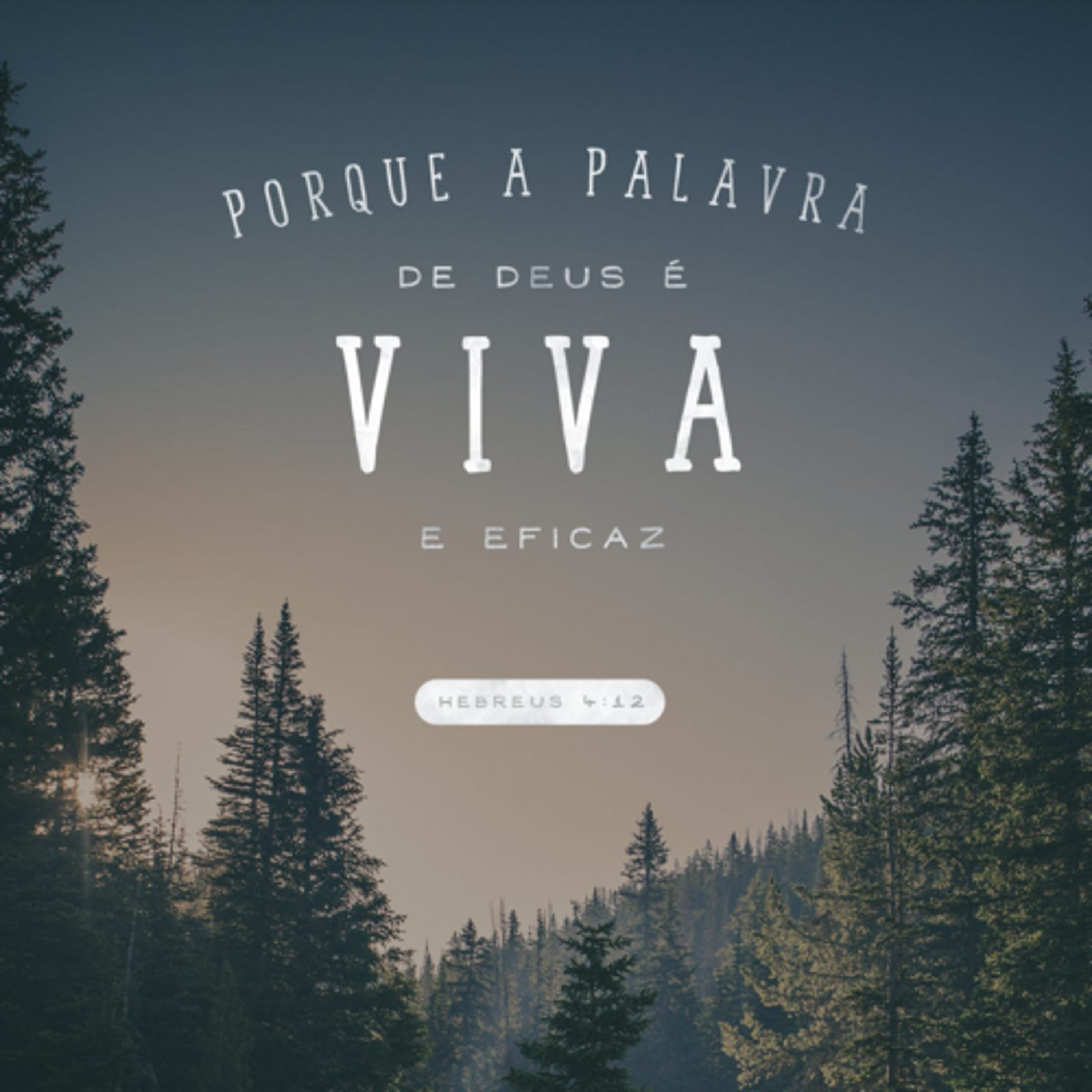 Palavra De Deus