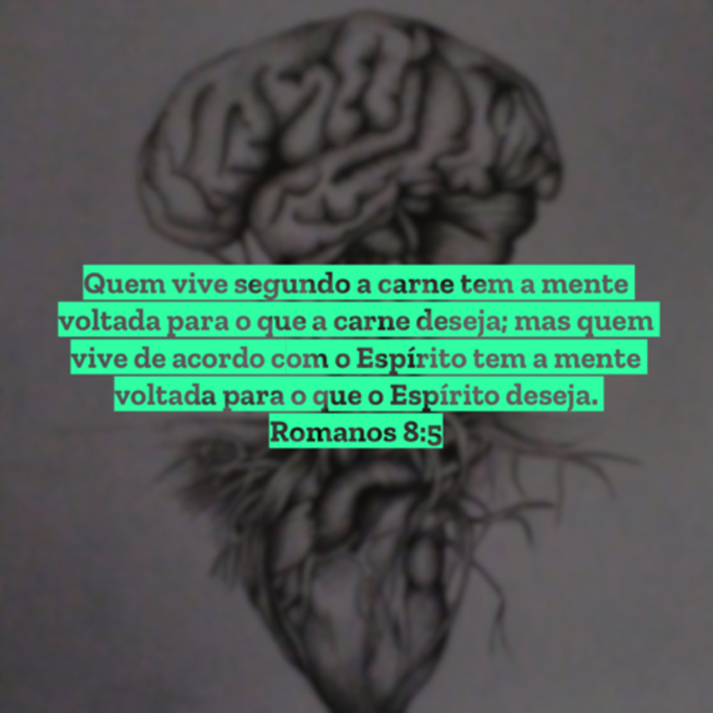Palavra De Deus