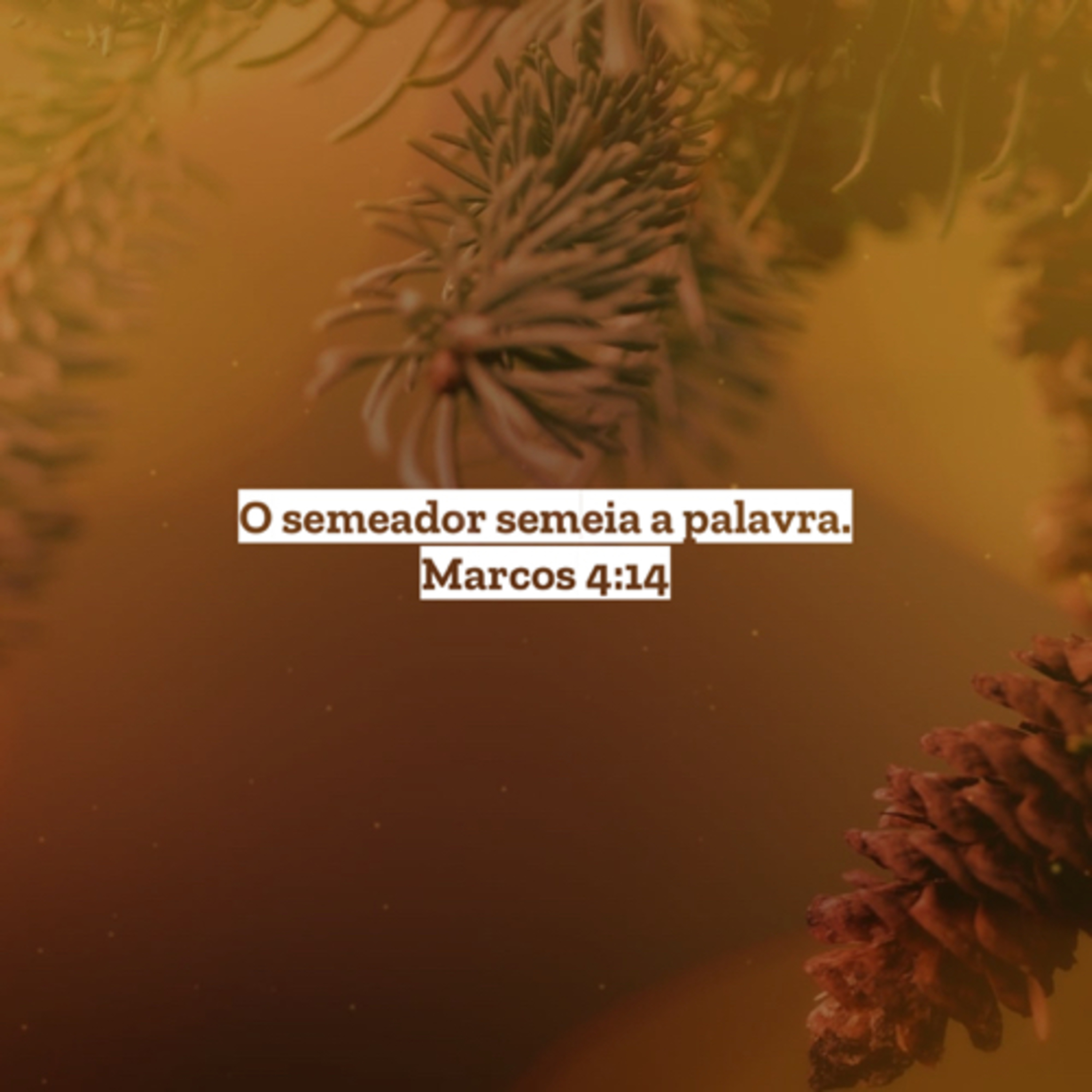 Palavra De Deus