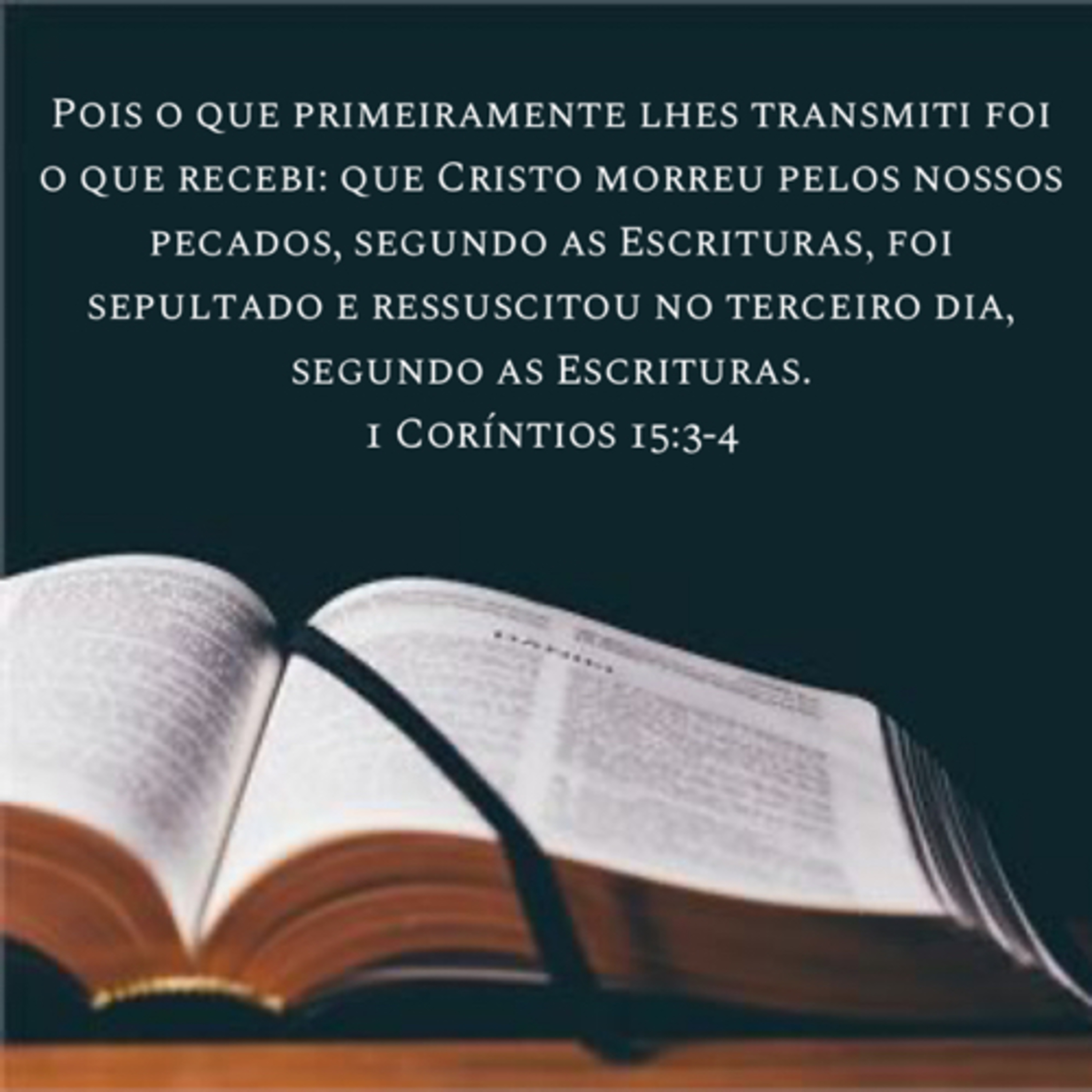 Palavra De Deus