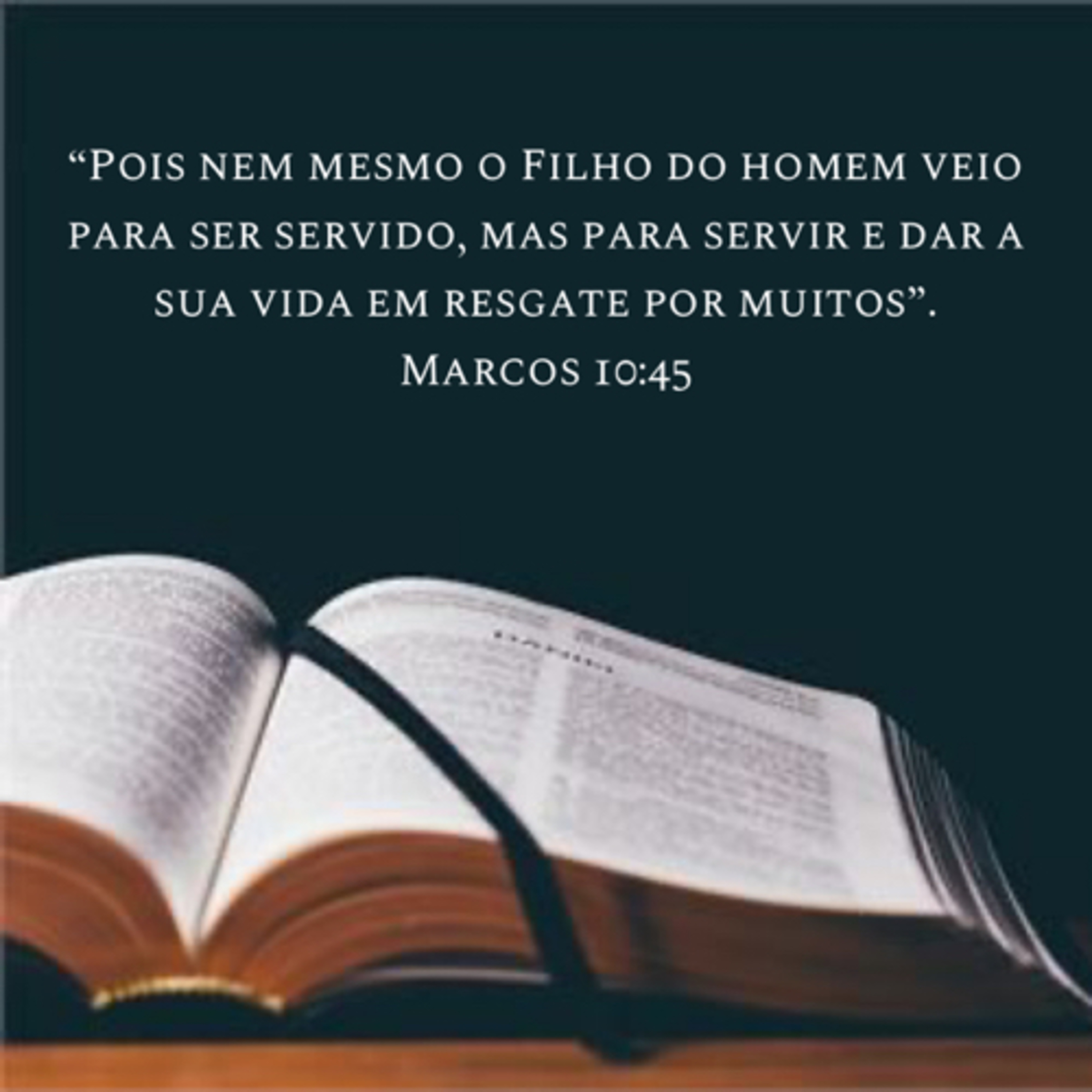 Palavra De Deus