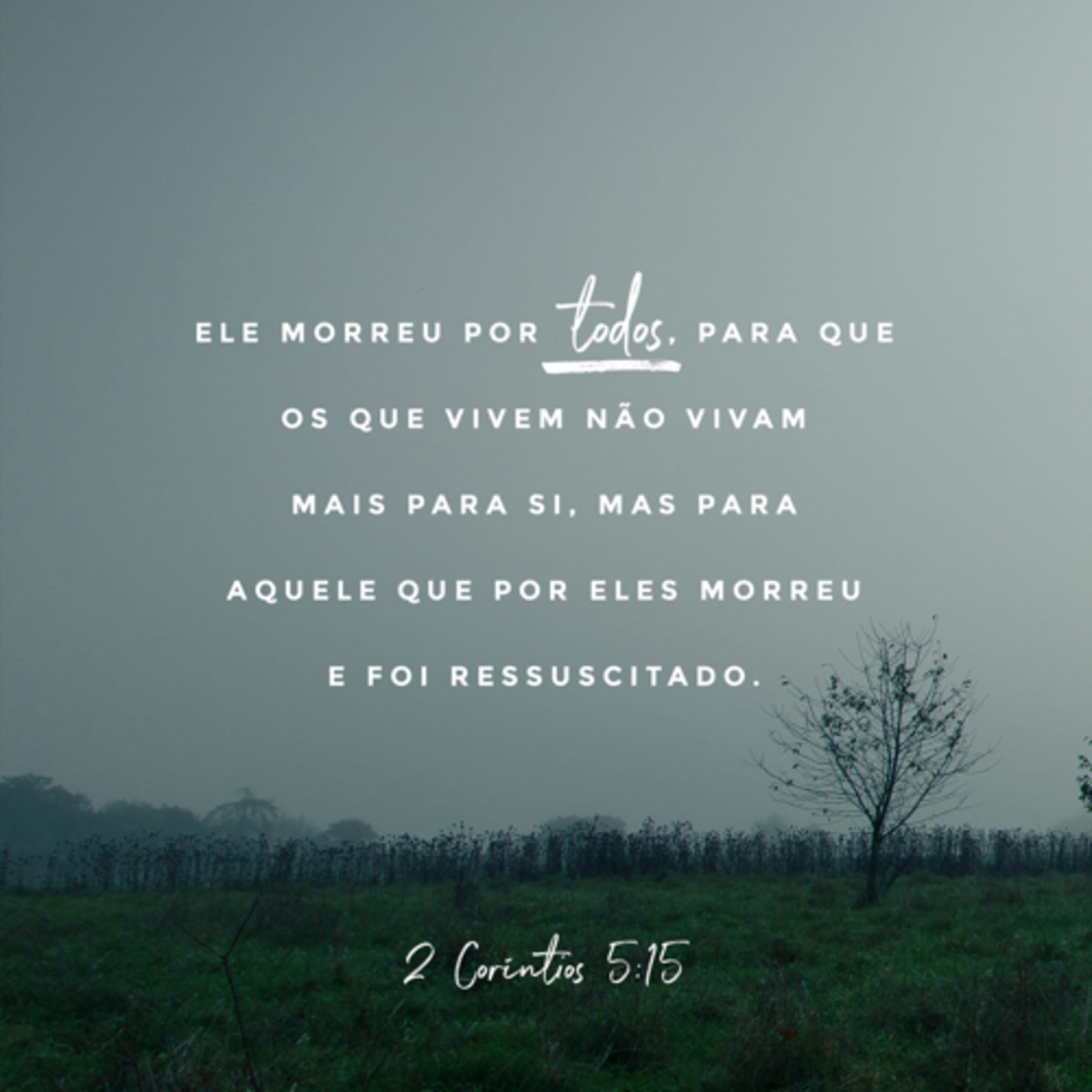 Palavra De Deus
