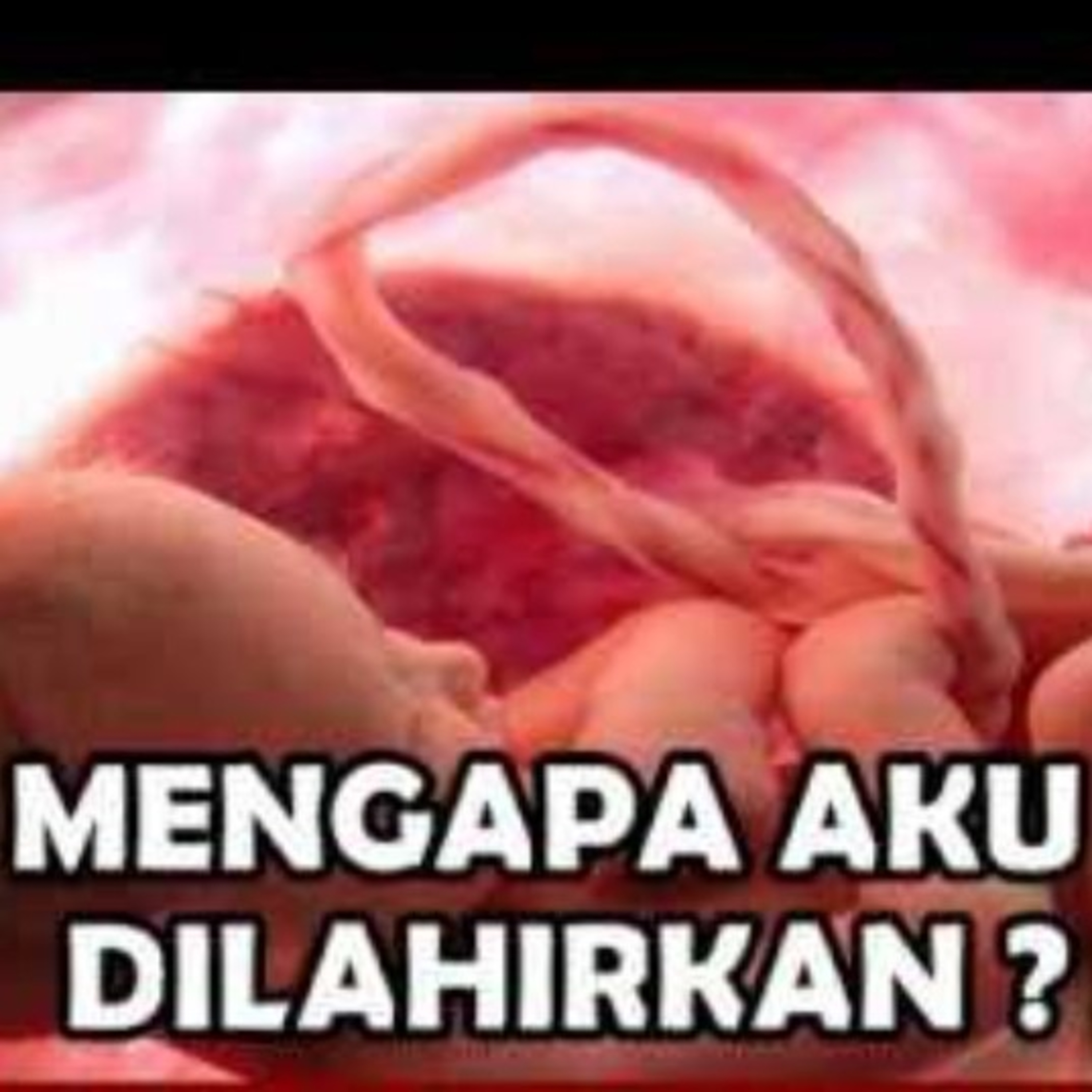 Renungan Harian Katolik