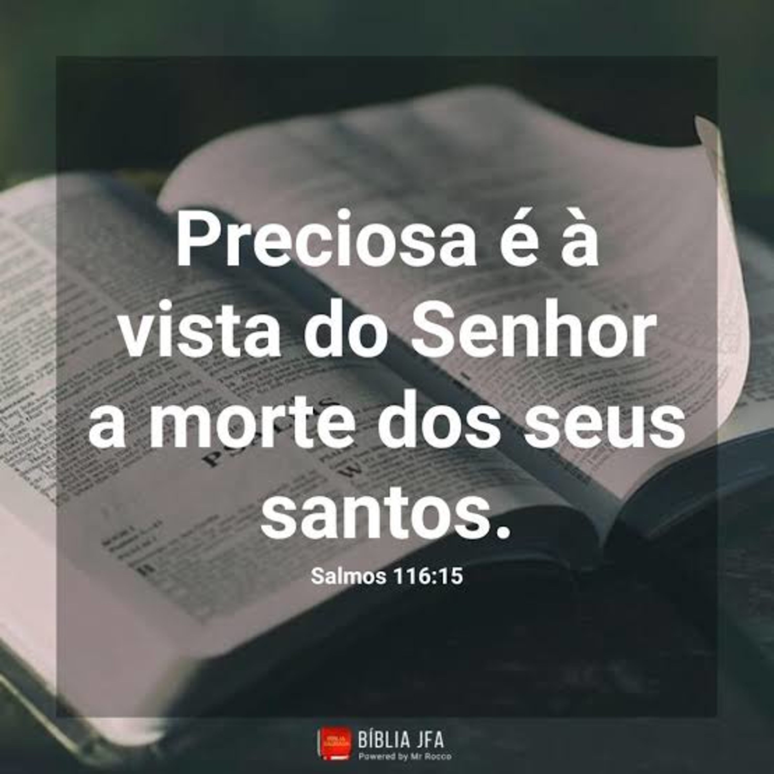 Pr. Rita Santos