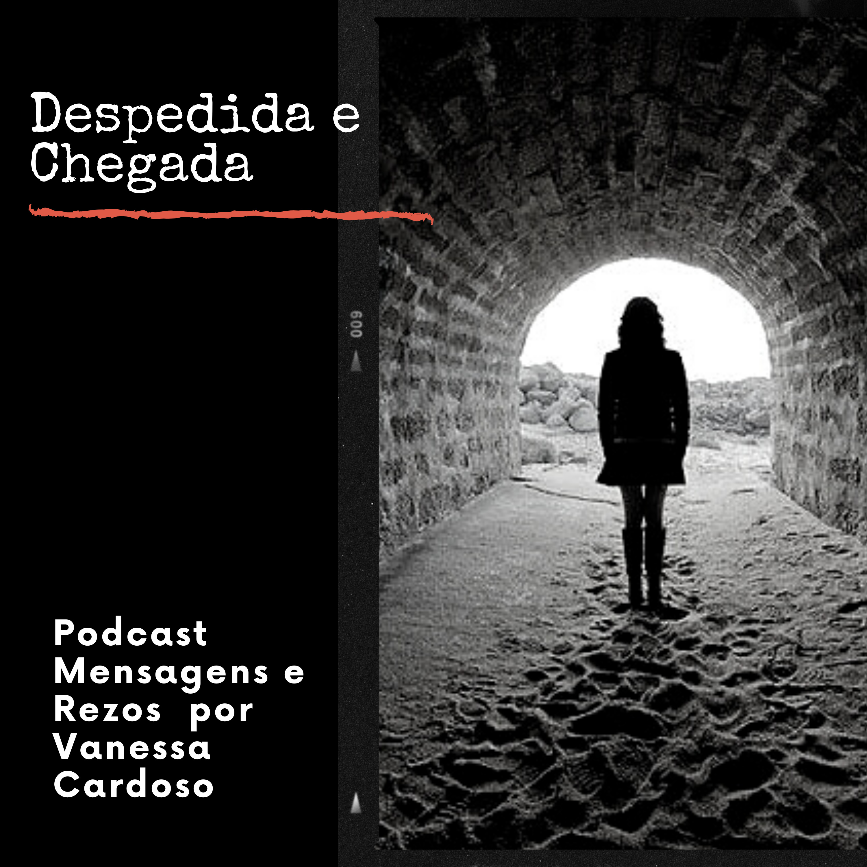 #14 Despedida e Chegada episode artwork
