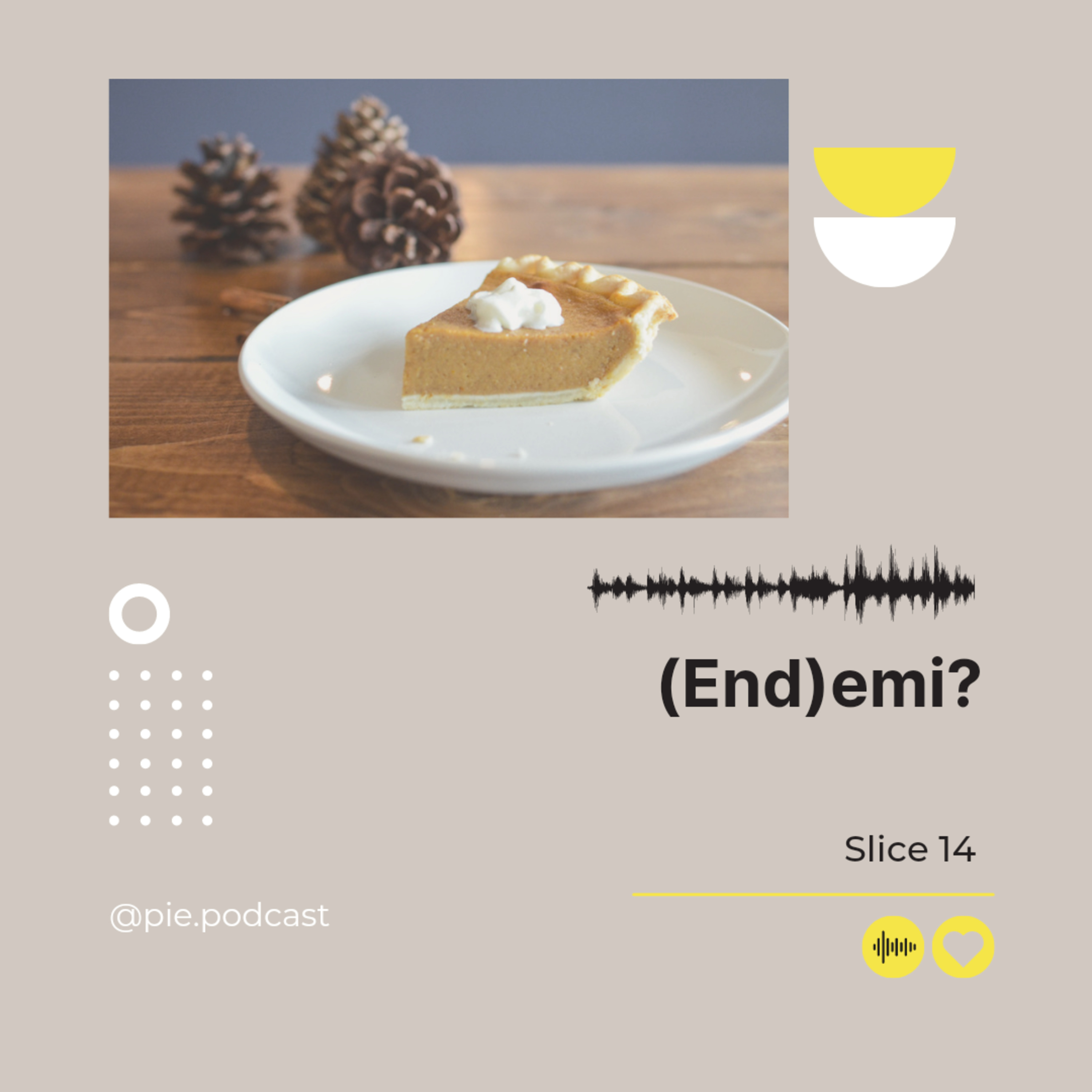 PIE Podcast