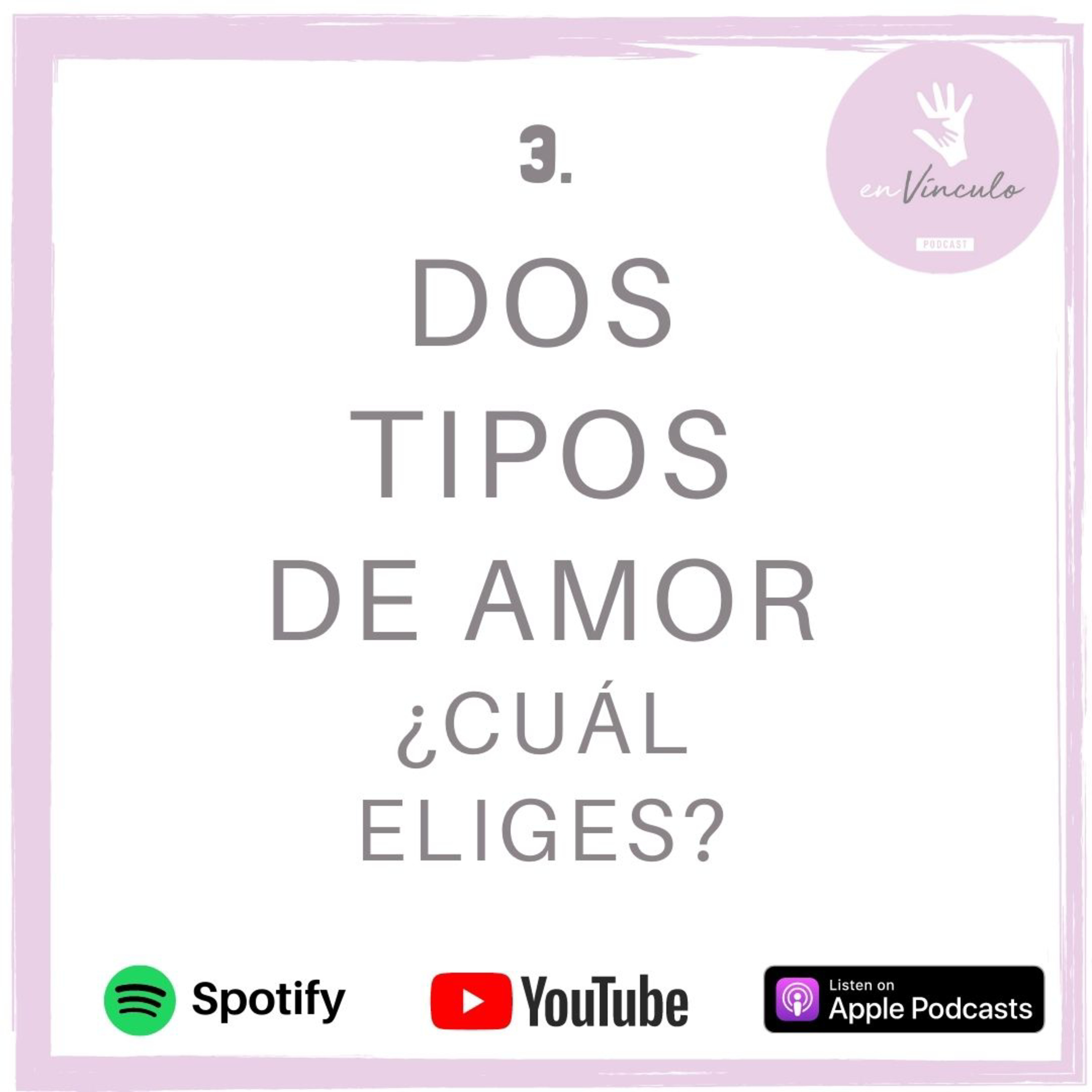 enVínculo