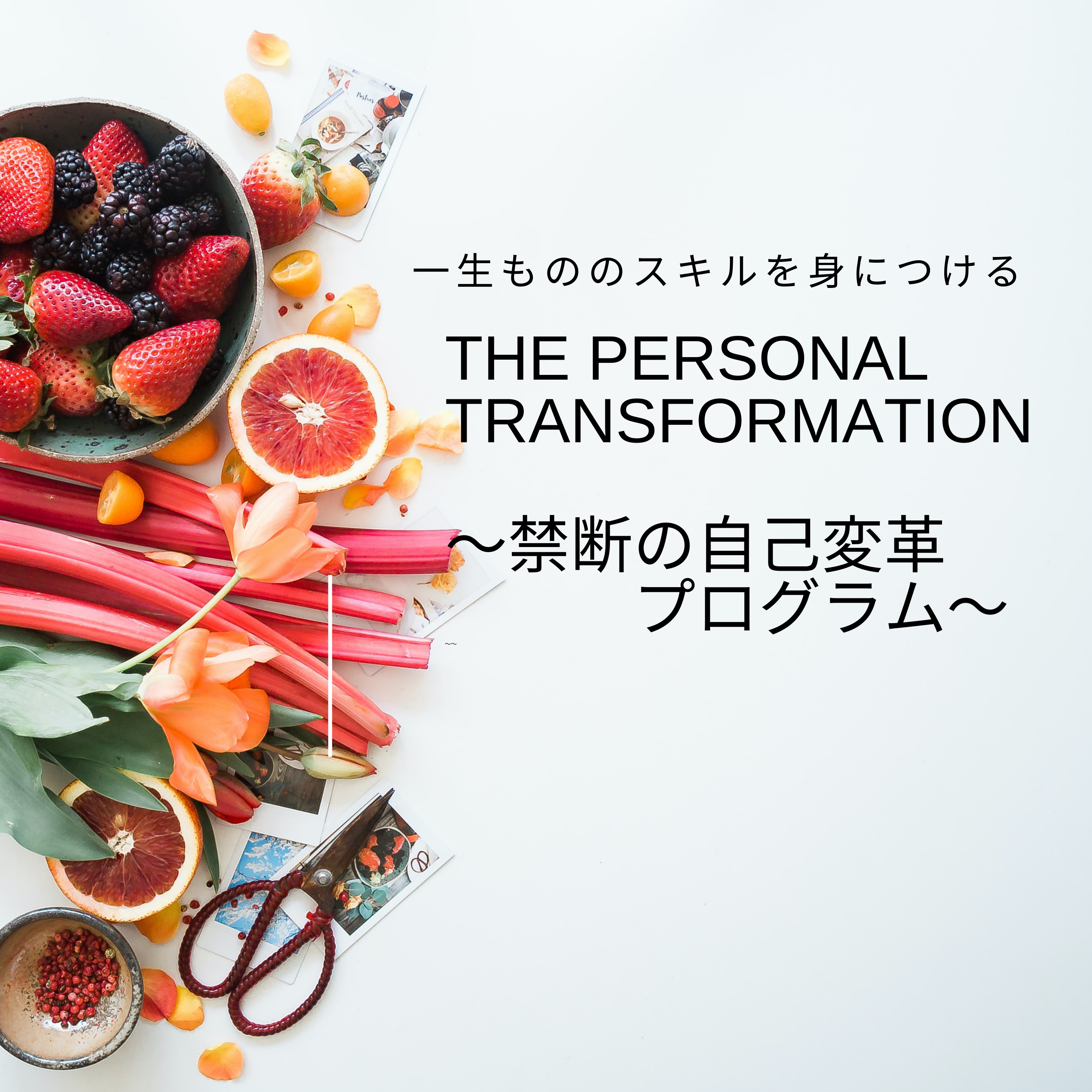 The personal transformation〜禁断の自己変革プログラム〜 episode artwork