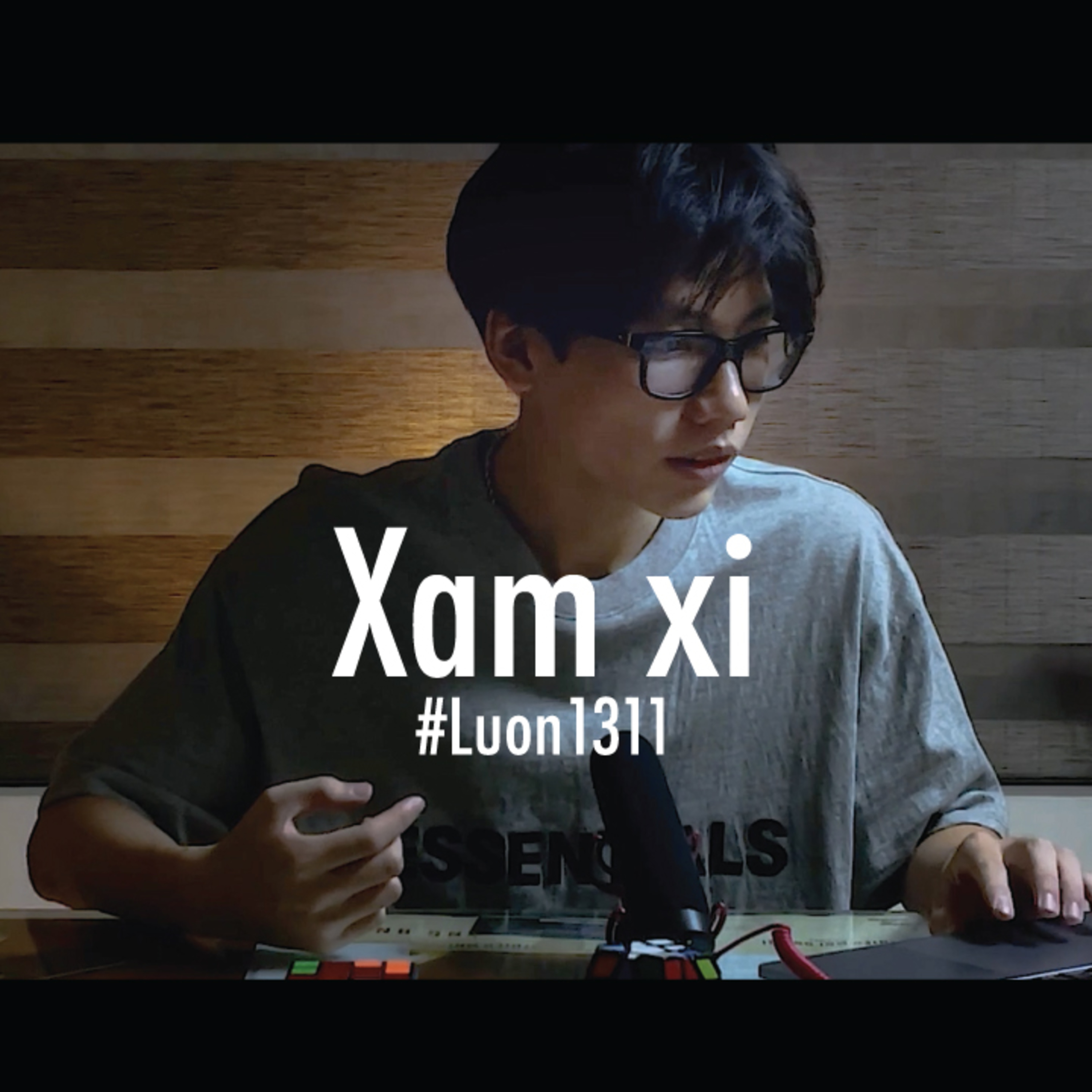Lươn1311