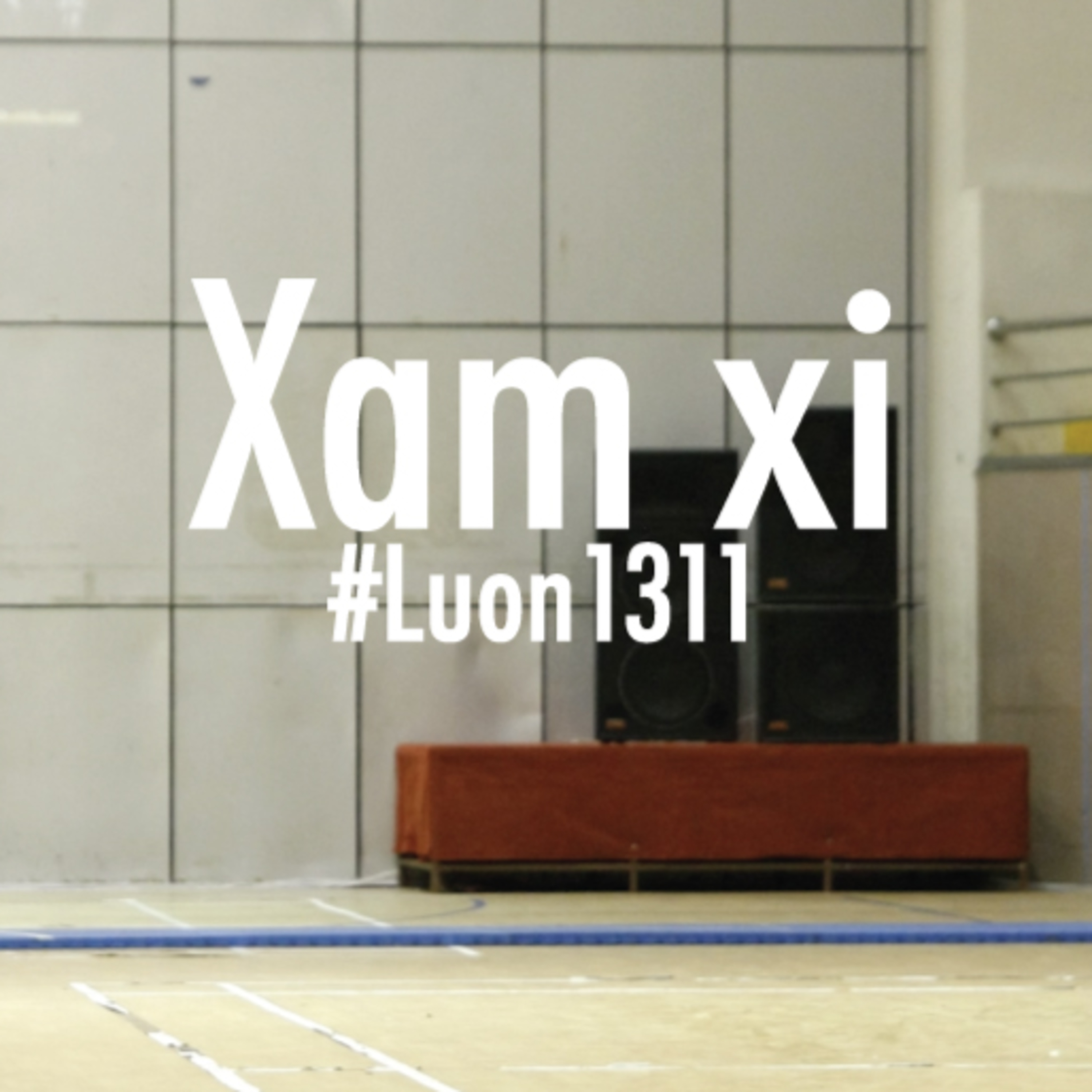 Lươn1311