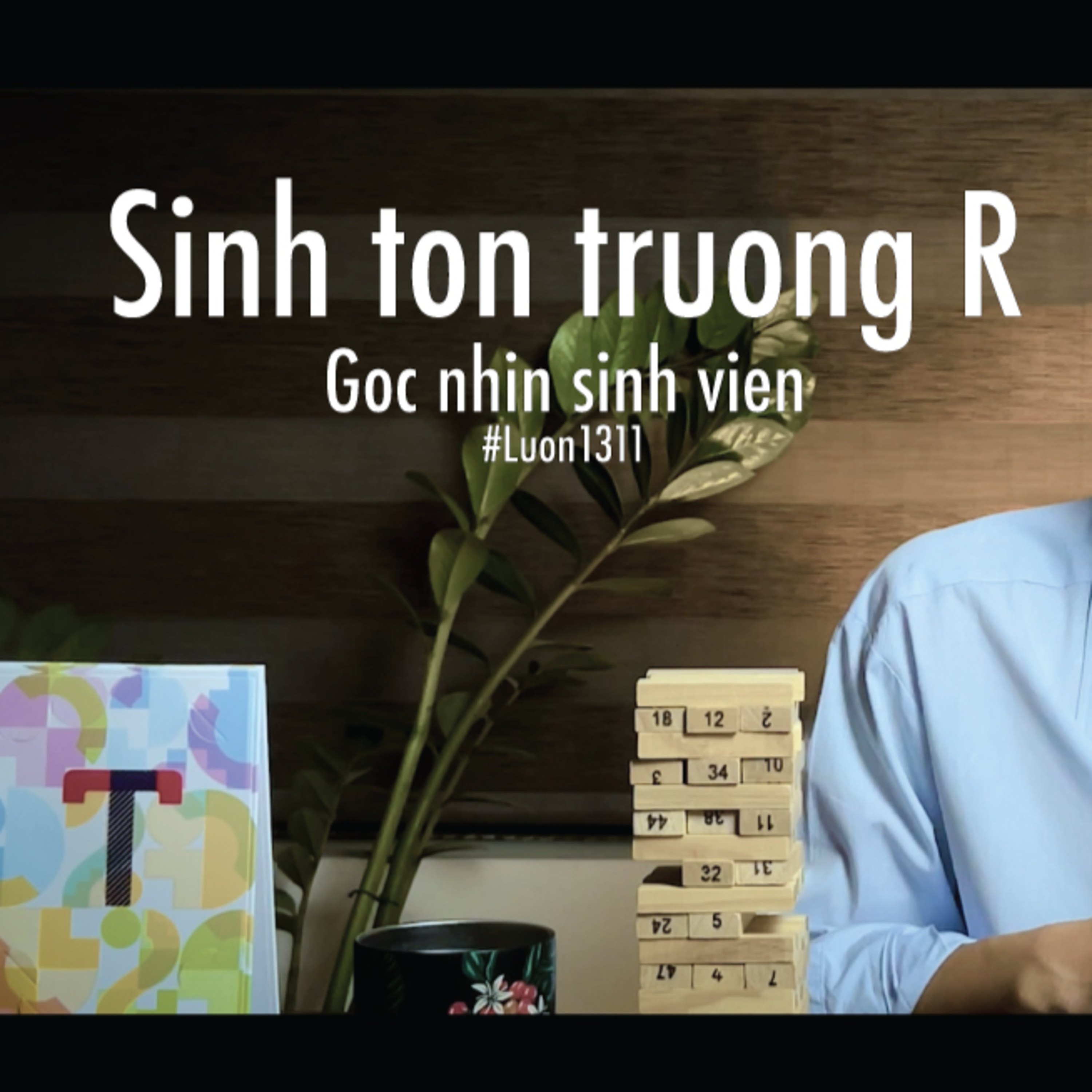 Lươn1311