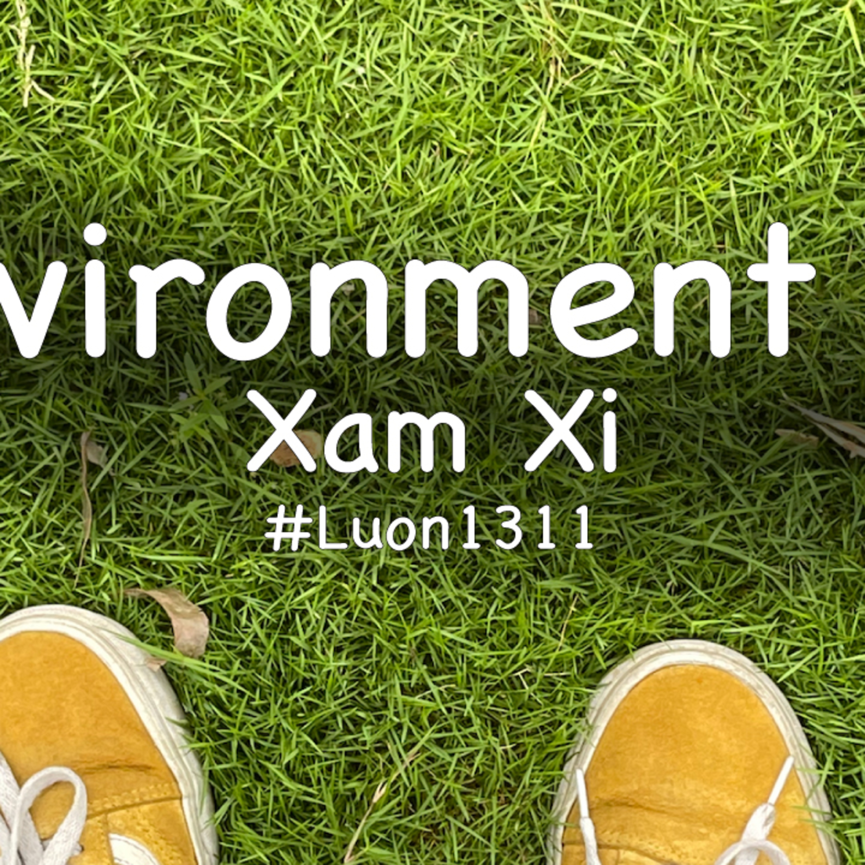 Lươn1311