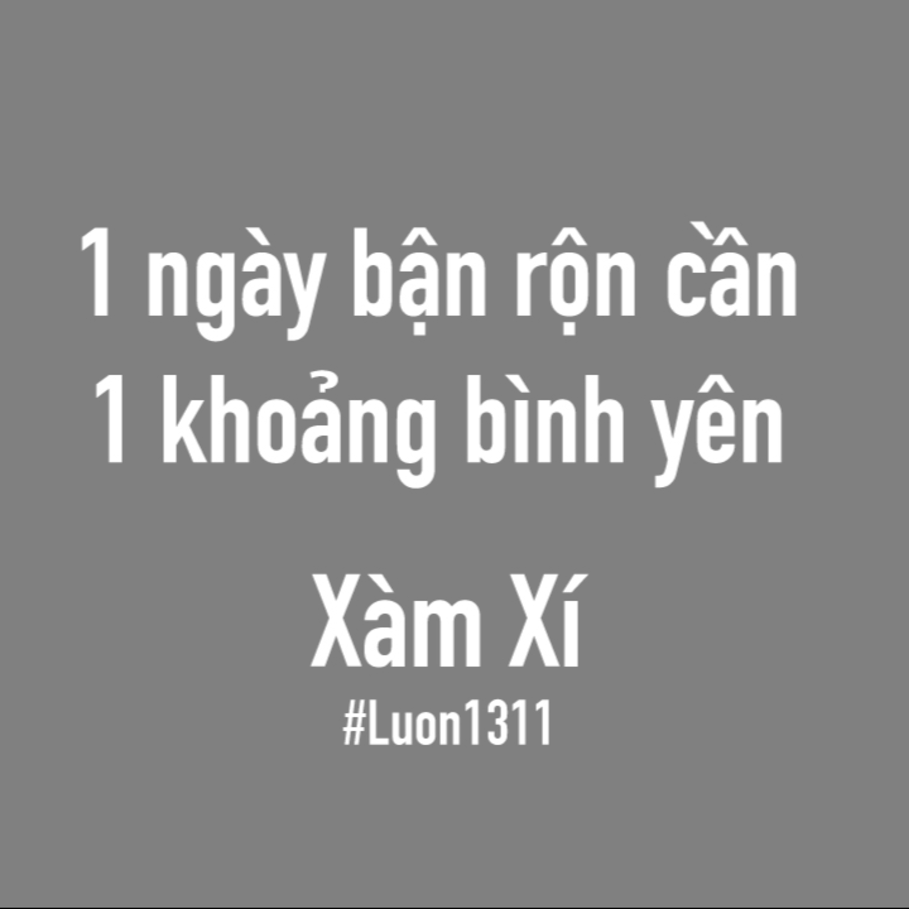 Lươn1311