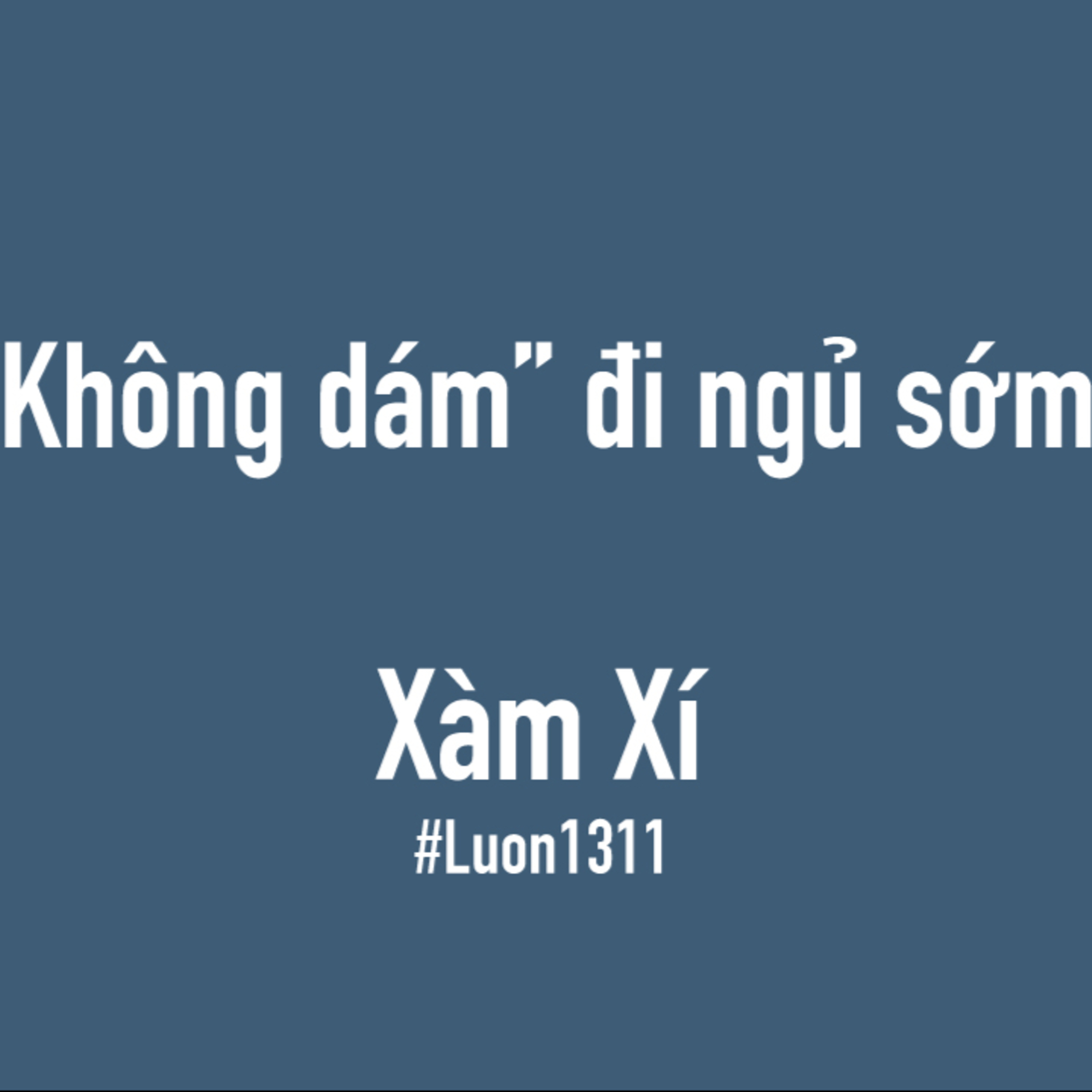 Lươn1311