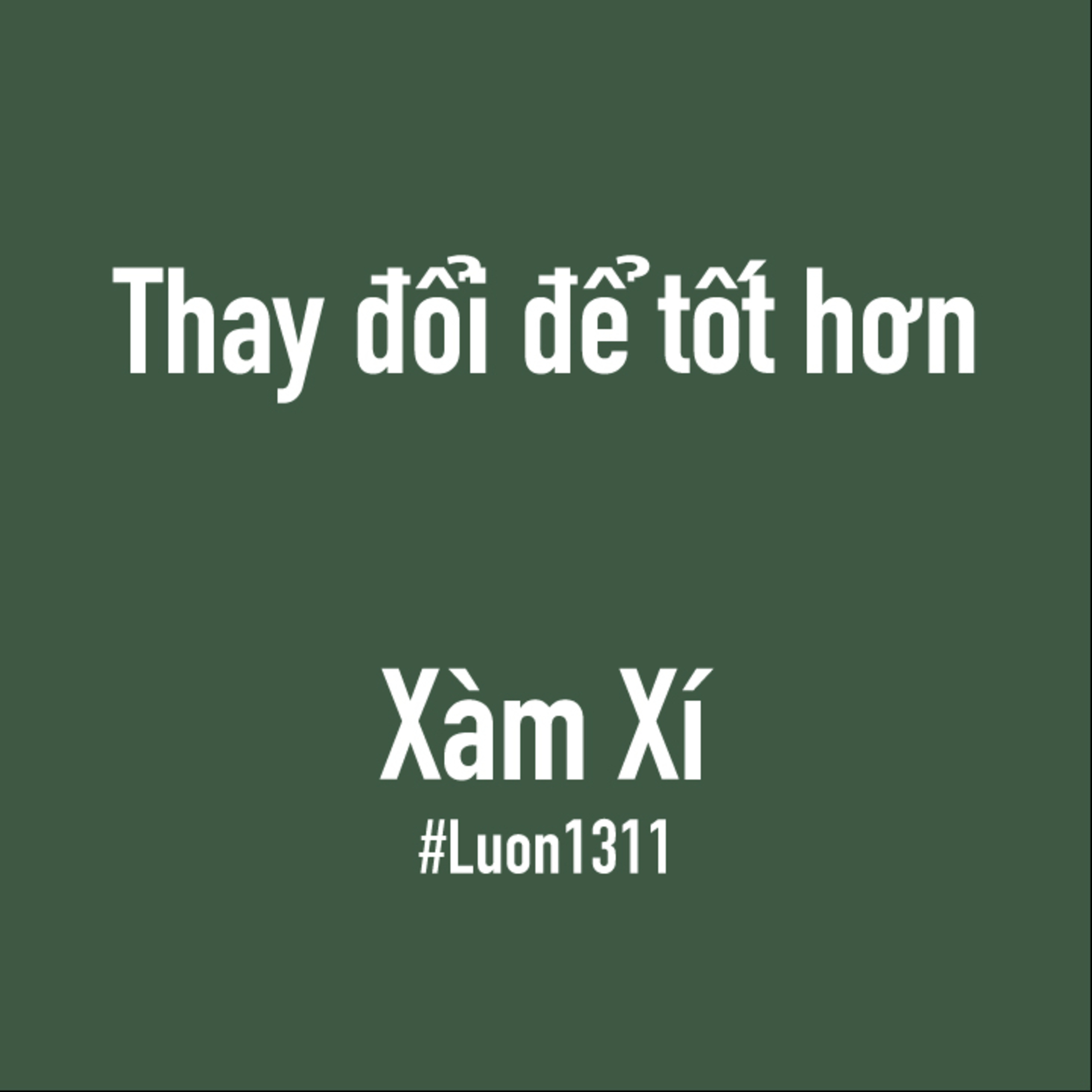 Lươn1311