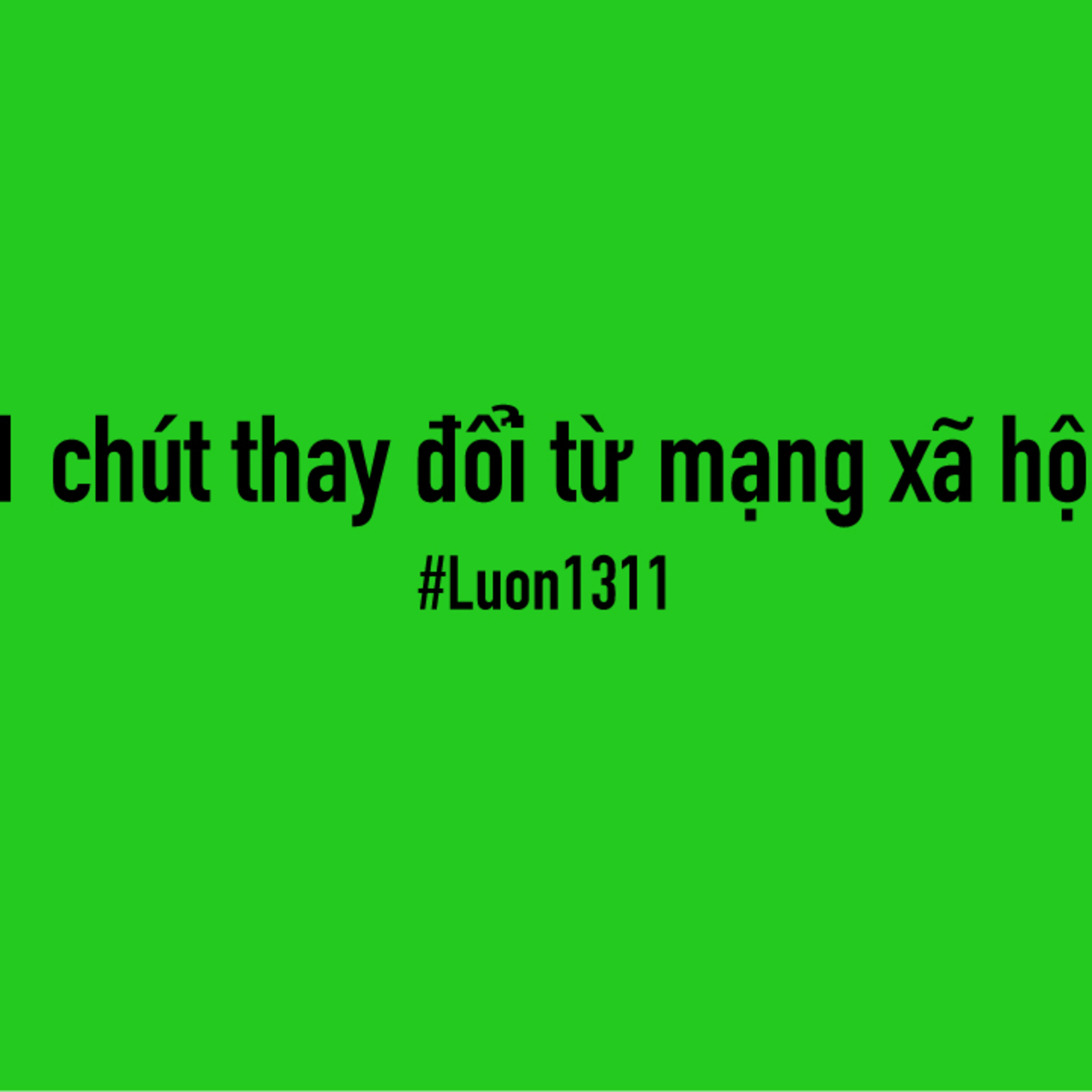 Lươn1311