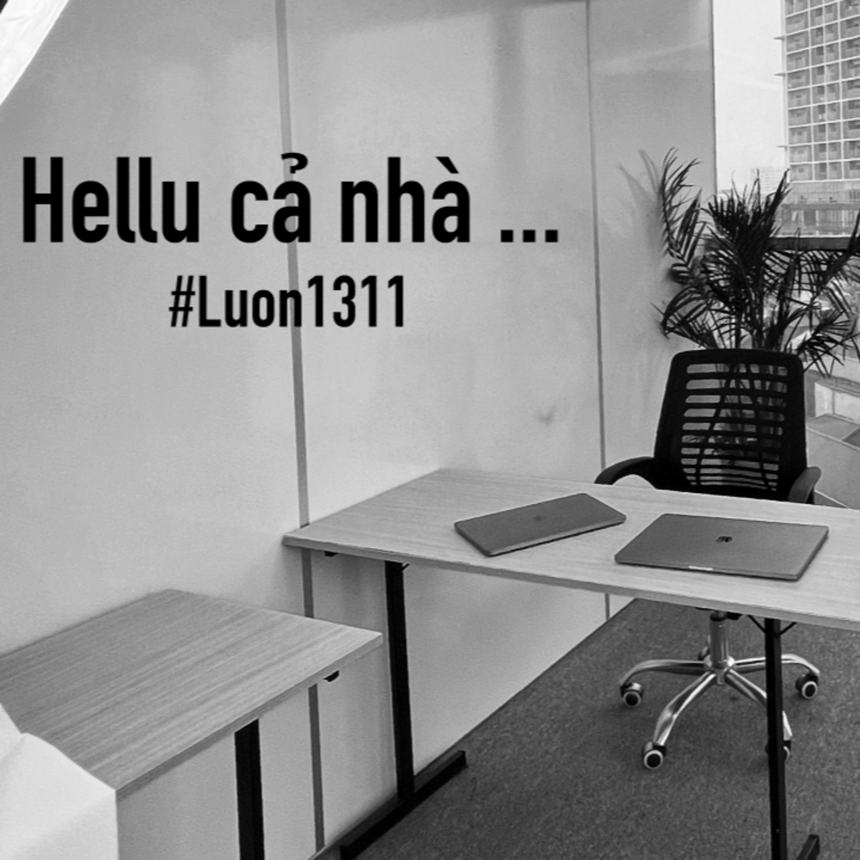 Lươn1311