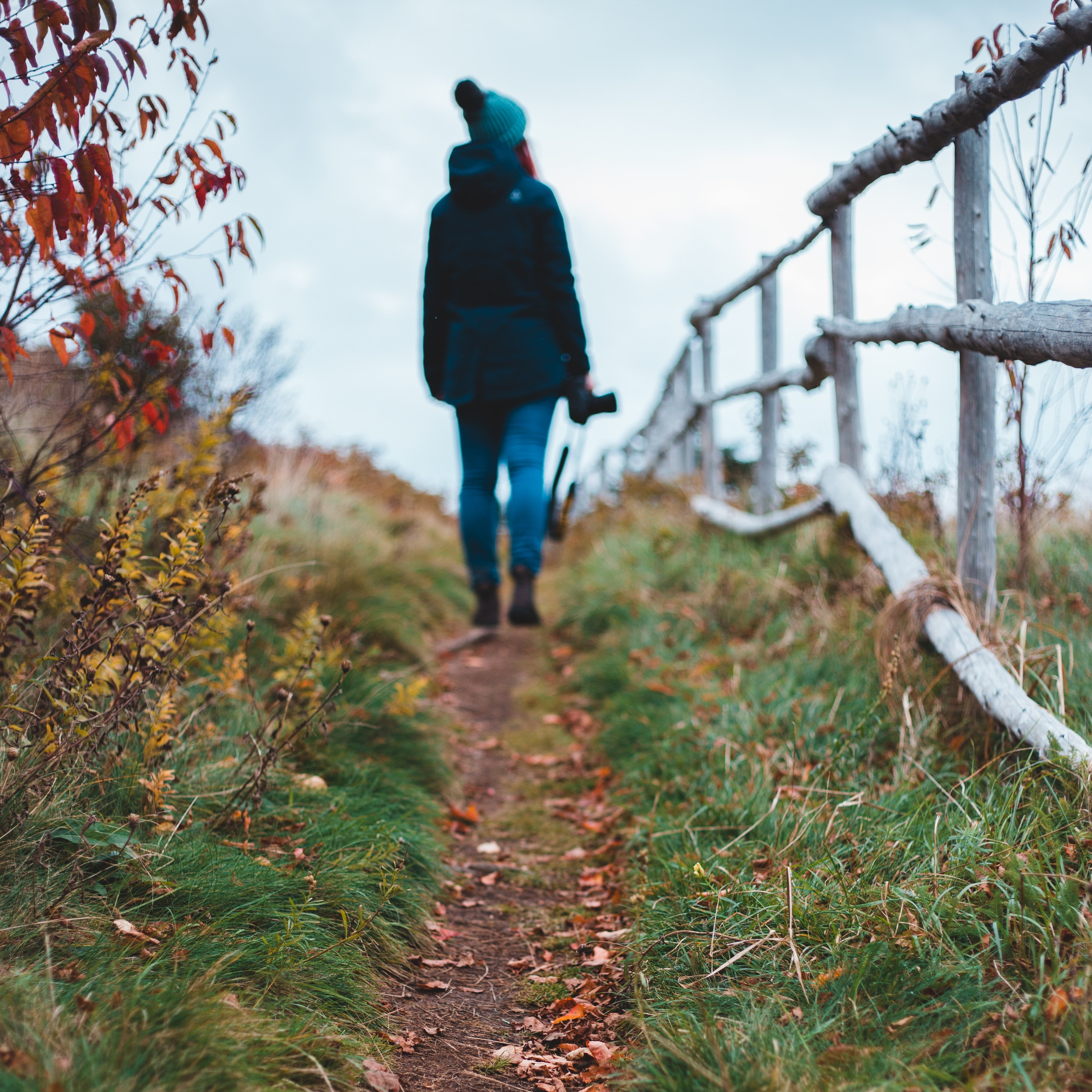 Lucas Santhyago Brandão Dias