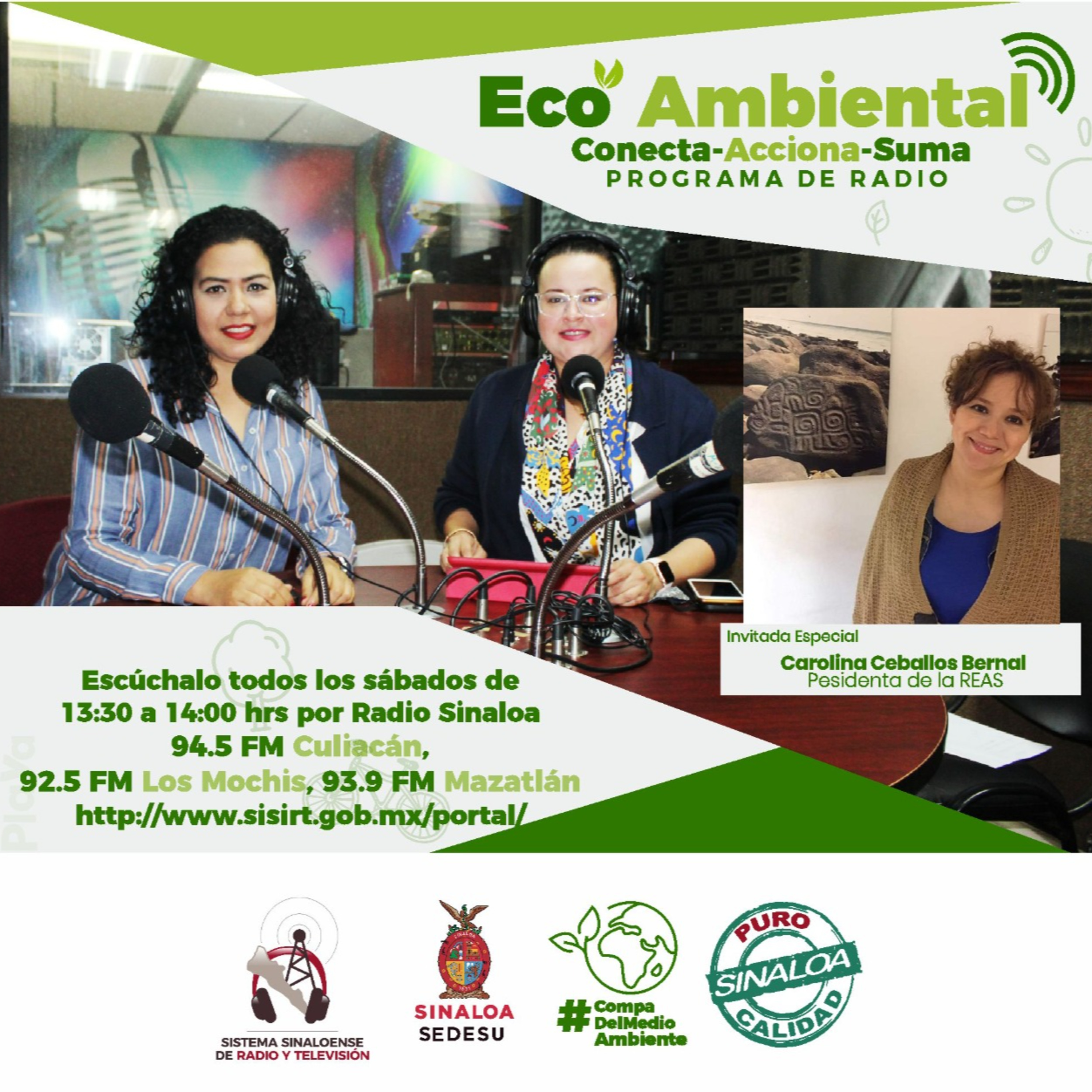 ECOAMBIENTAL SINALOA