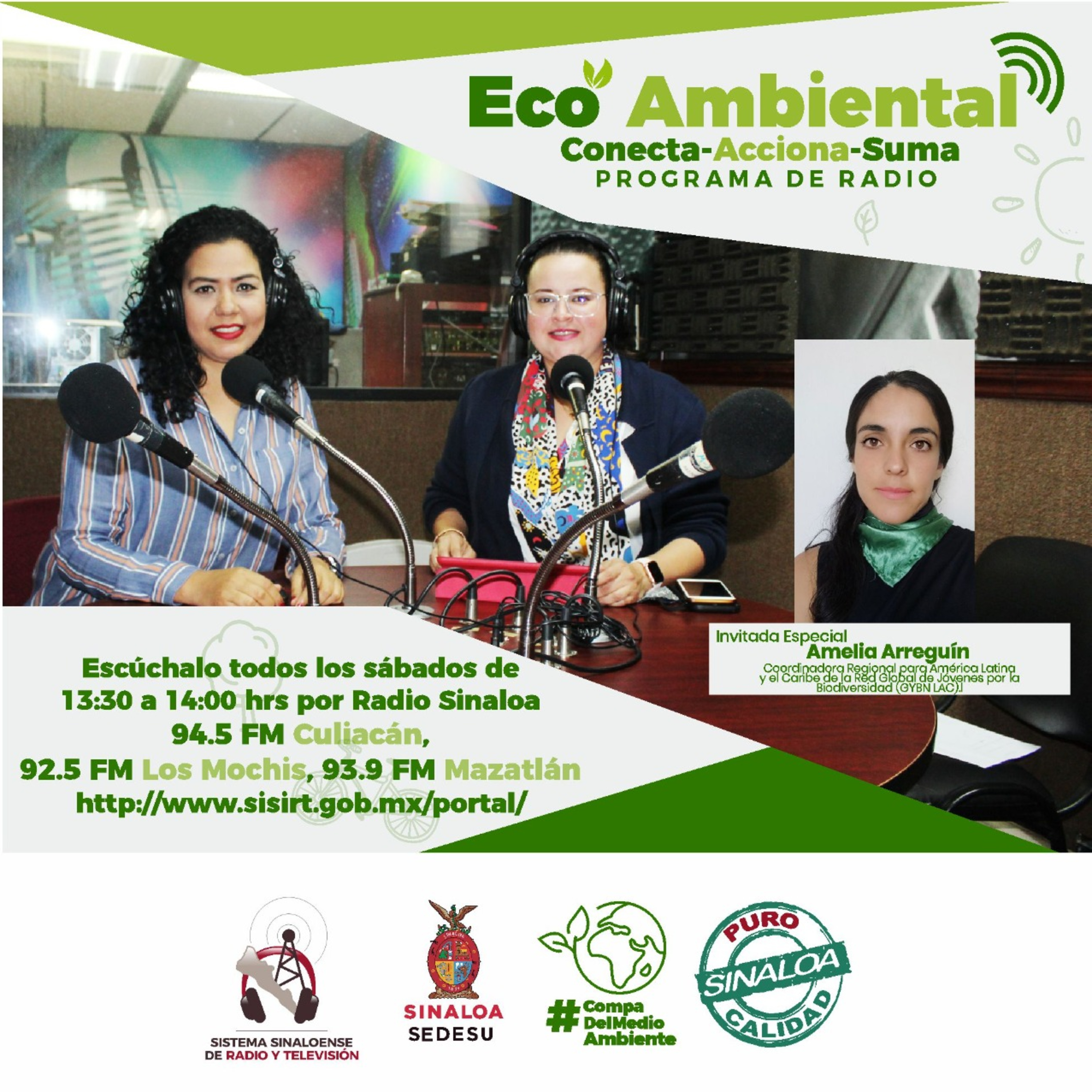 ECOAMBIENTAL SINALOA