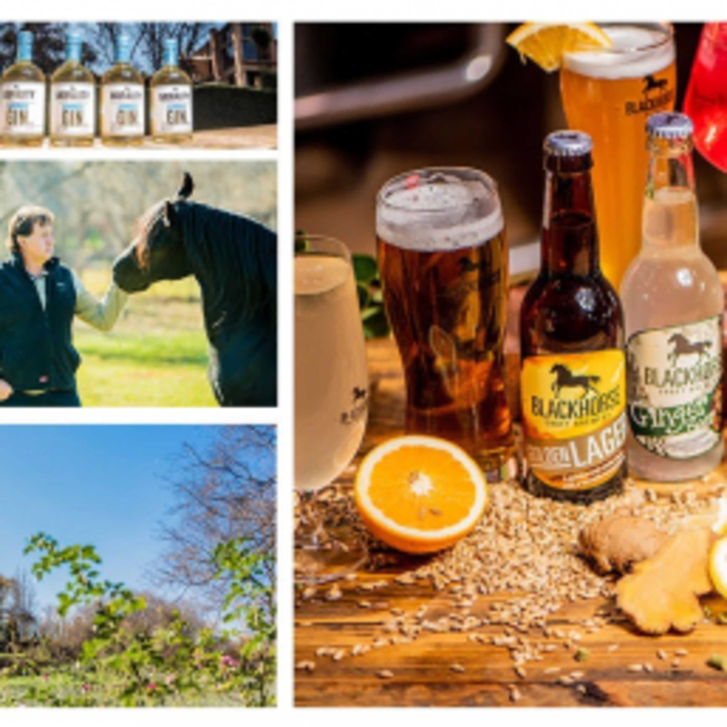 Blackhorse Brewery & Distillery: Magaliesburg