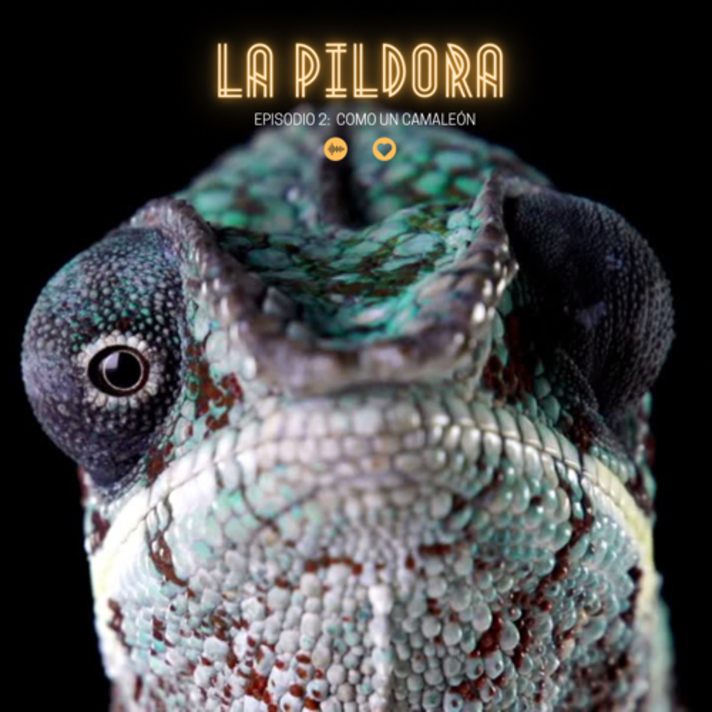 Cómo un camaleón  episode artwork