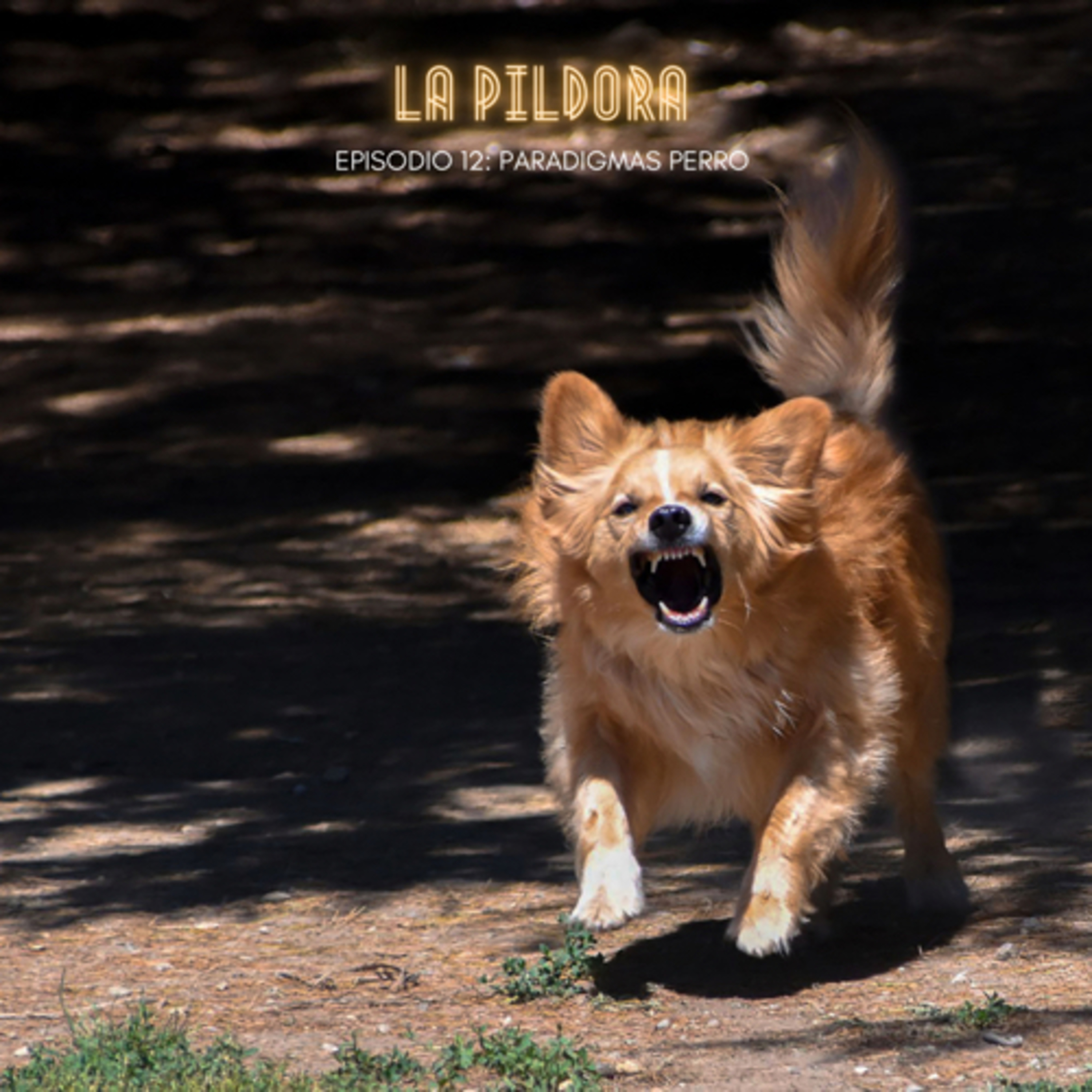 Paradigmas perro episode artwork