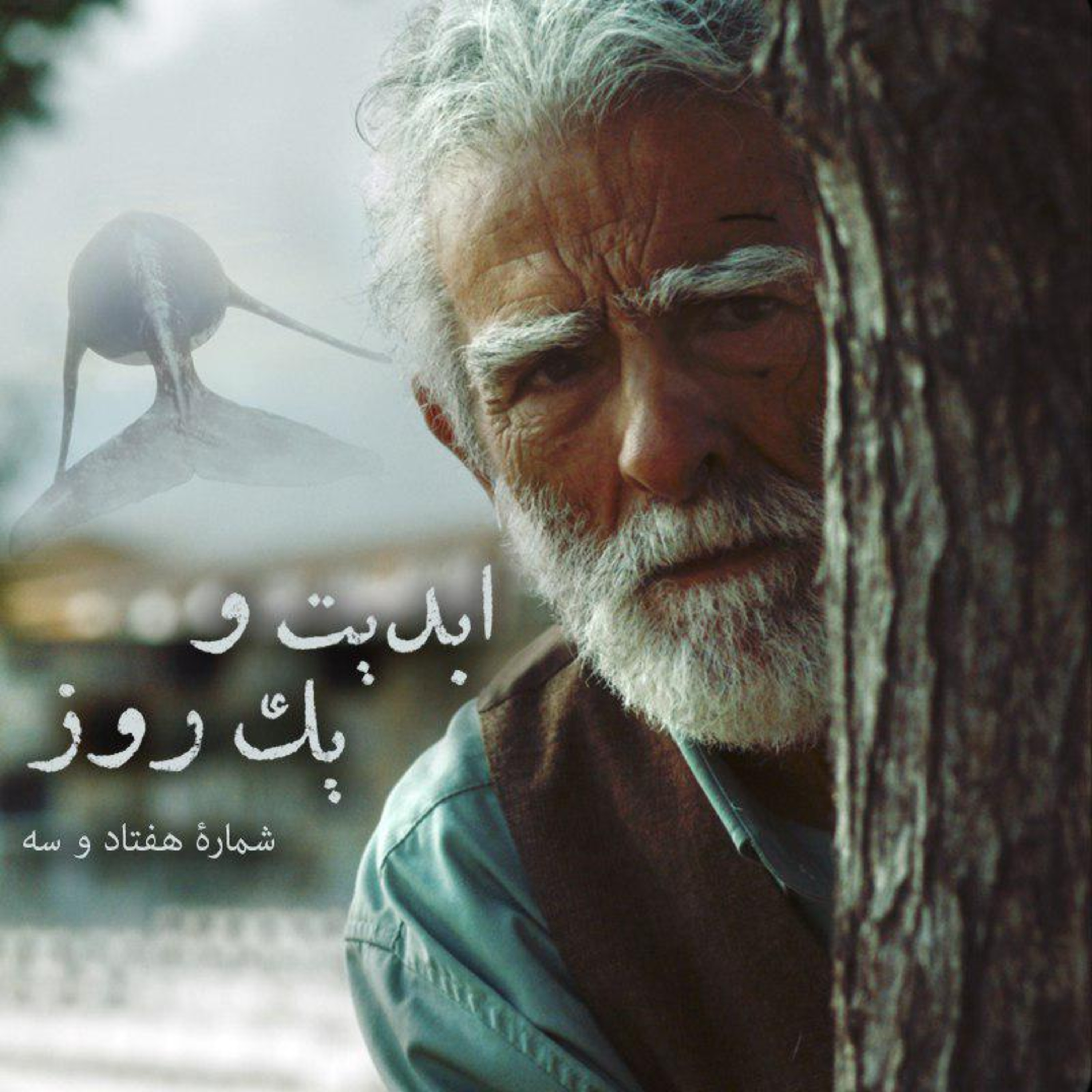 کاور ابدیت و یک روز- شماره هفتاد و سه - نگاهی به فیلم «آیههای فراموشی» در گفتوگو با علیرضا خاتمی