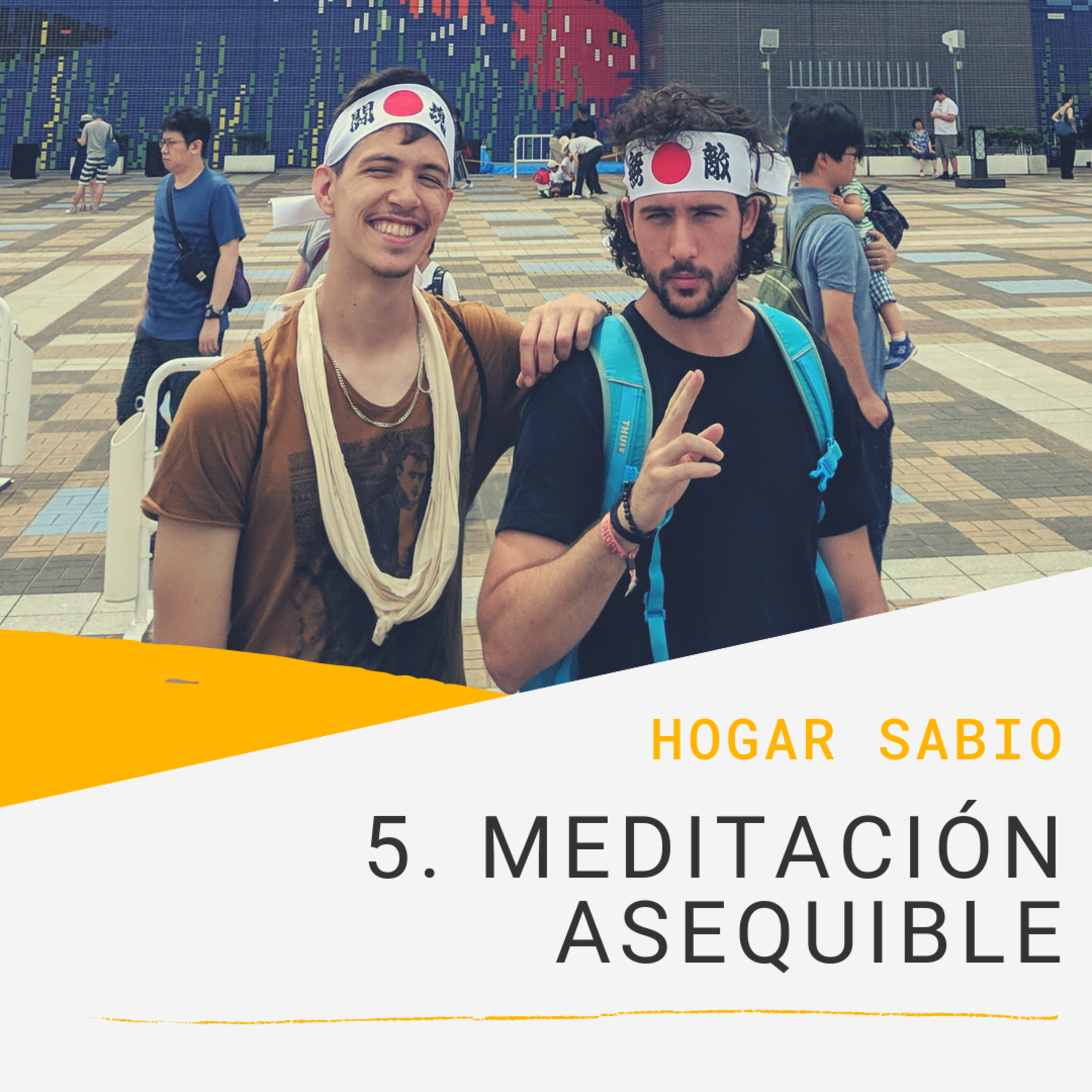Hogar Sabio