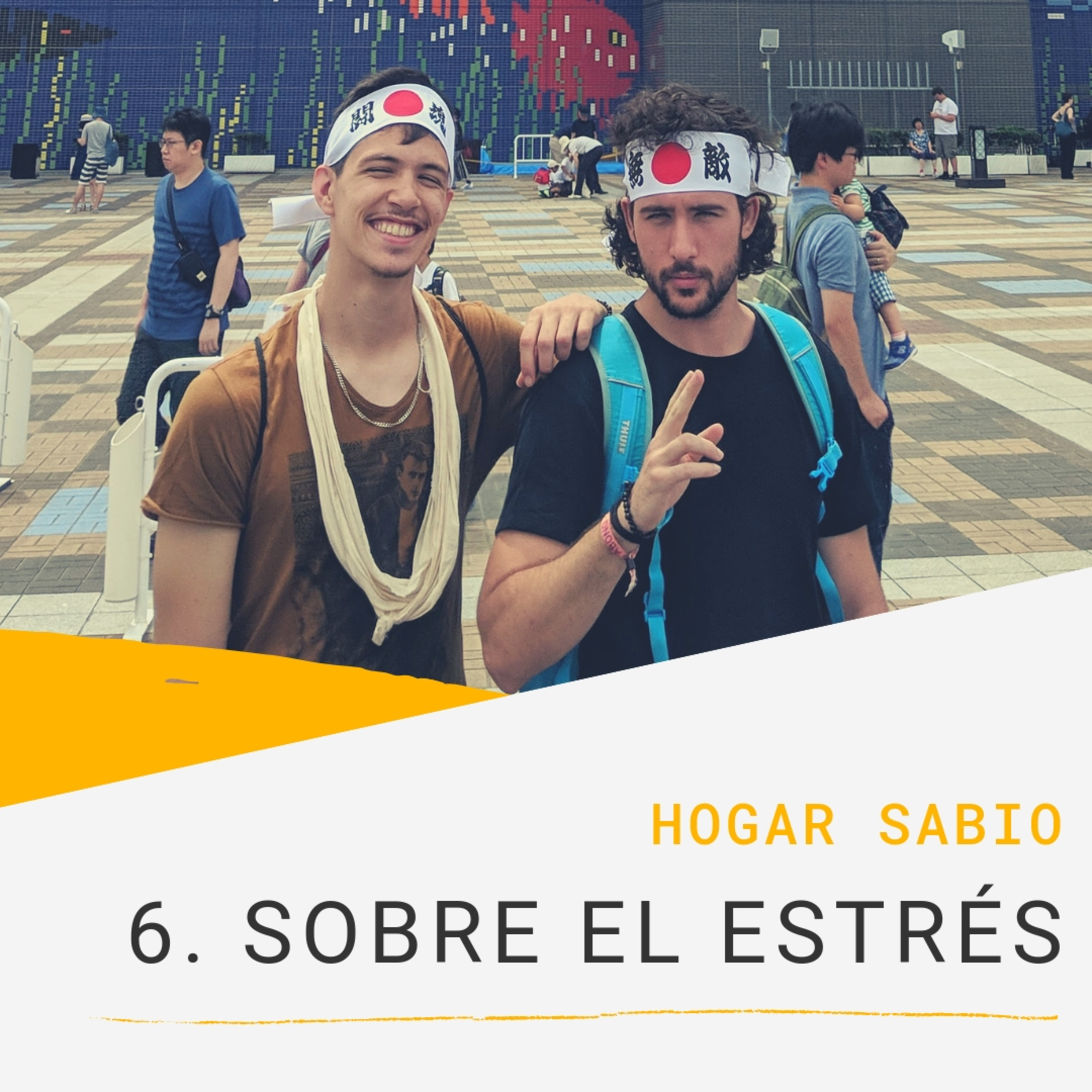 Hogar Sabio