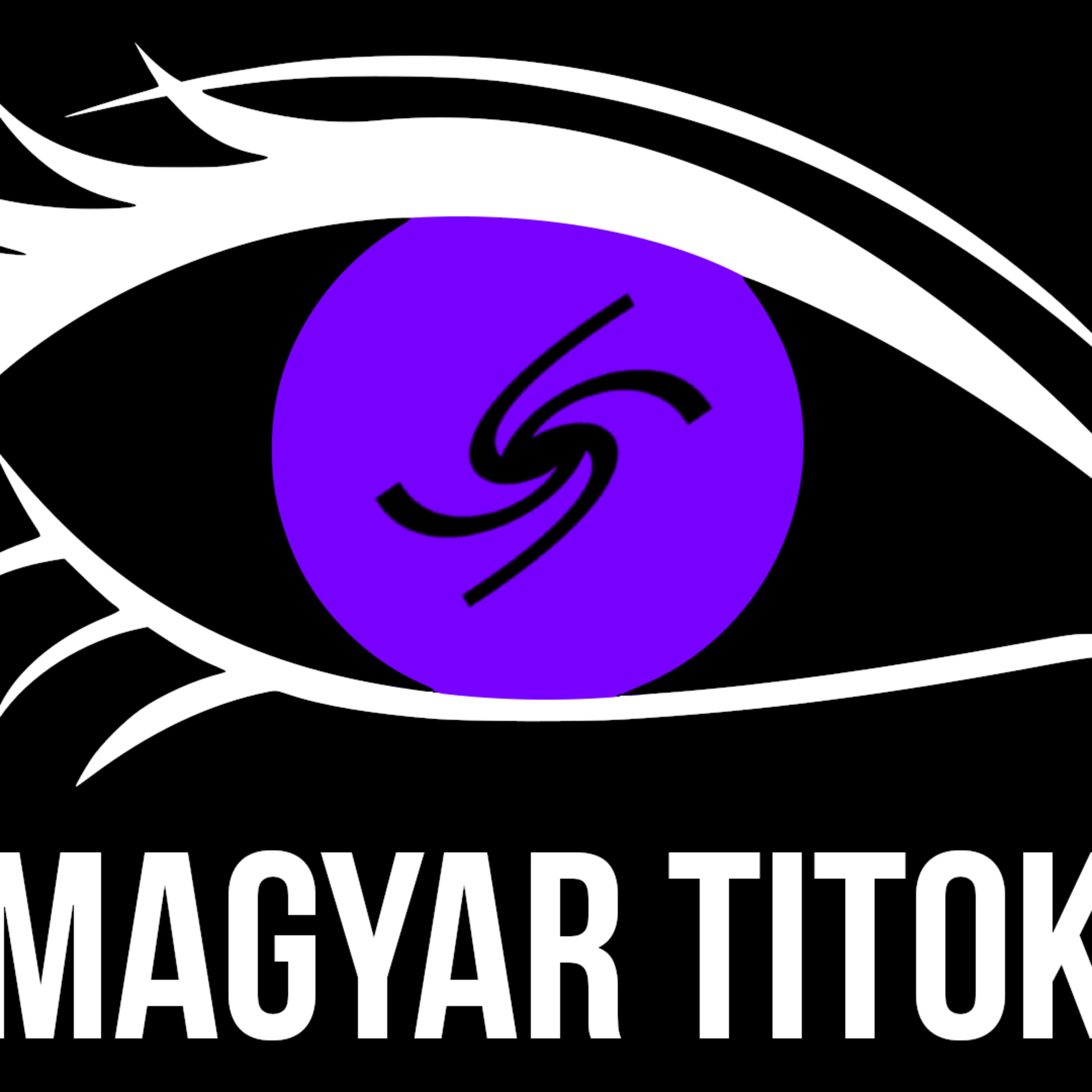 Magyar Titok: Űrcsillagászat, fekete lyukak, gravitációs hullámok, asztrofizika a laborban