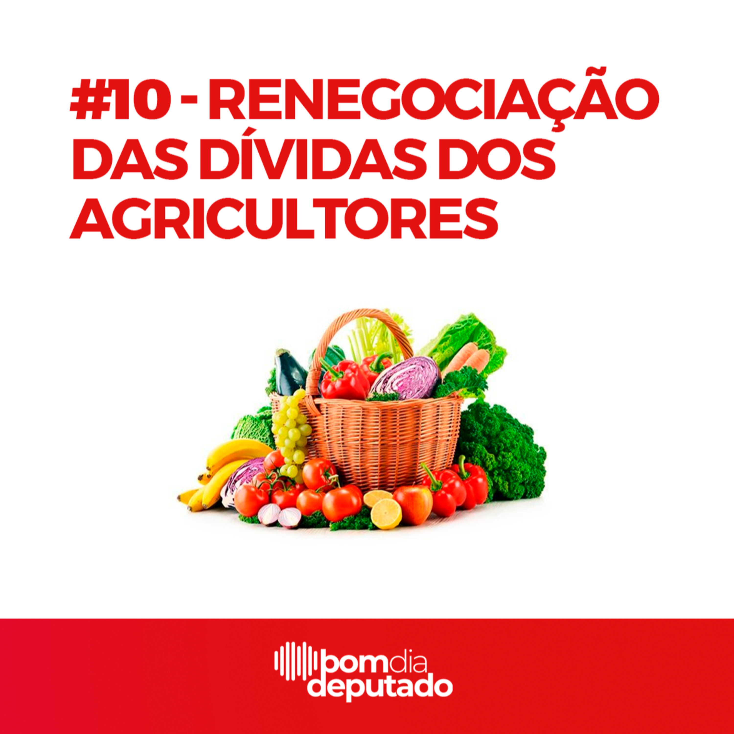 Bom Dia Deputado