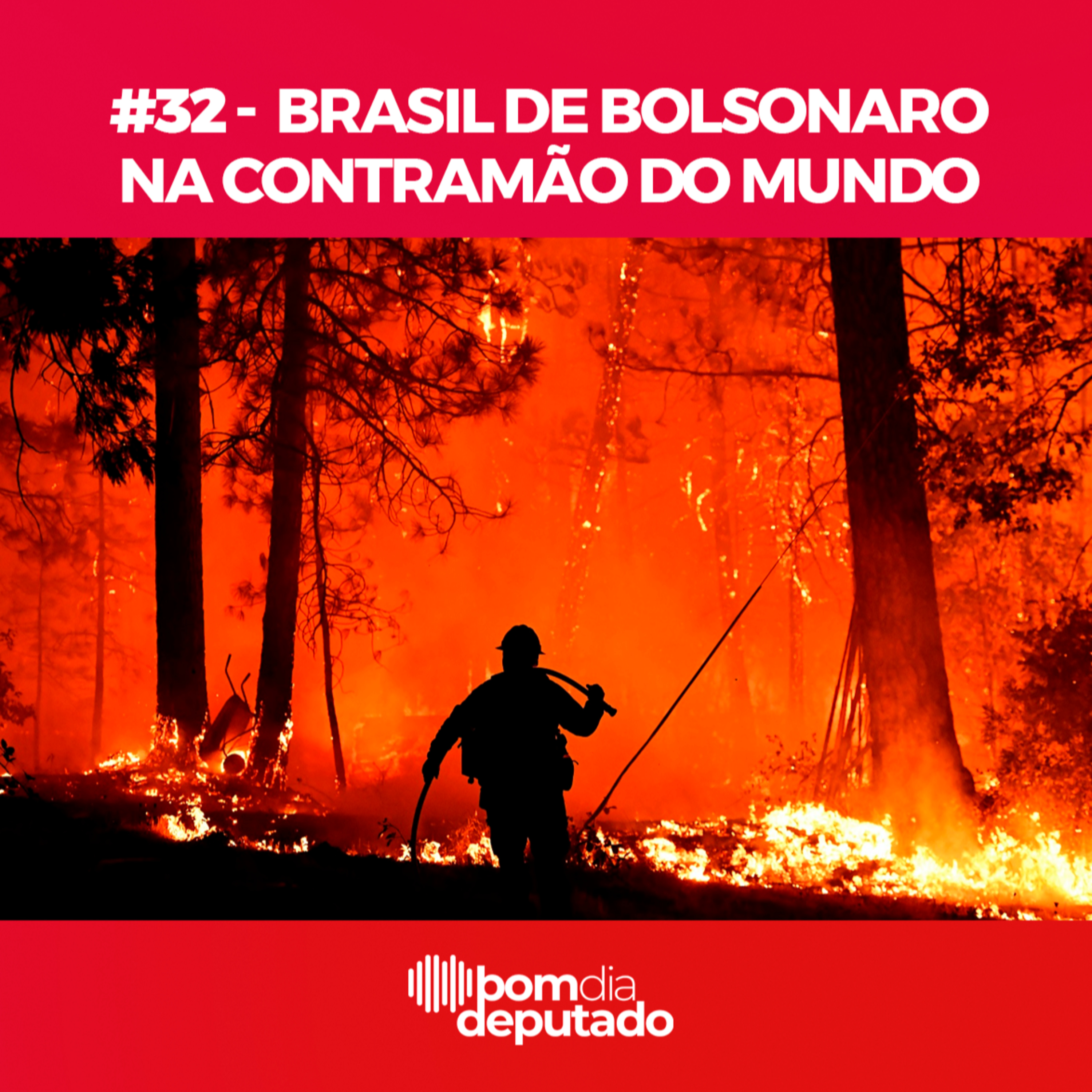 Bom Dia Deputado