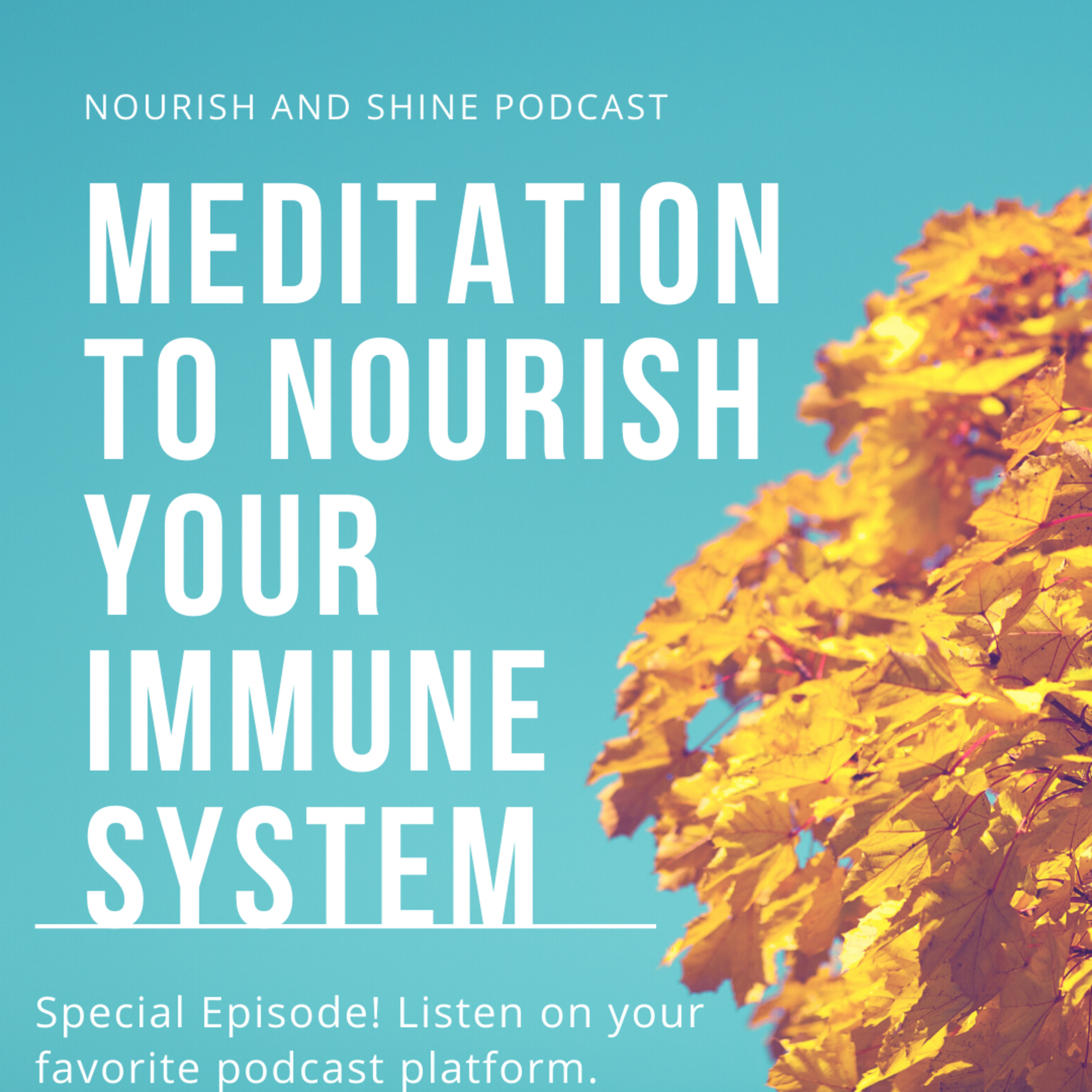 A Meditation to Nourish the Immune System