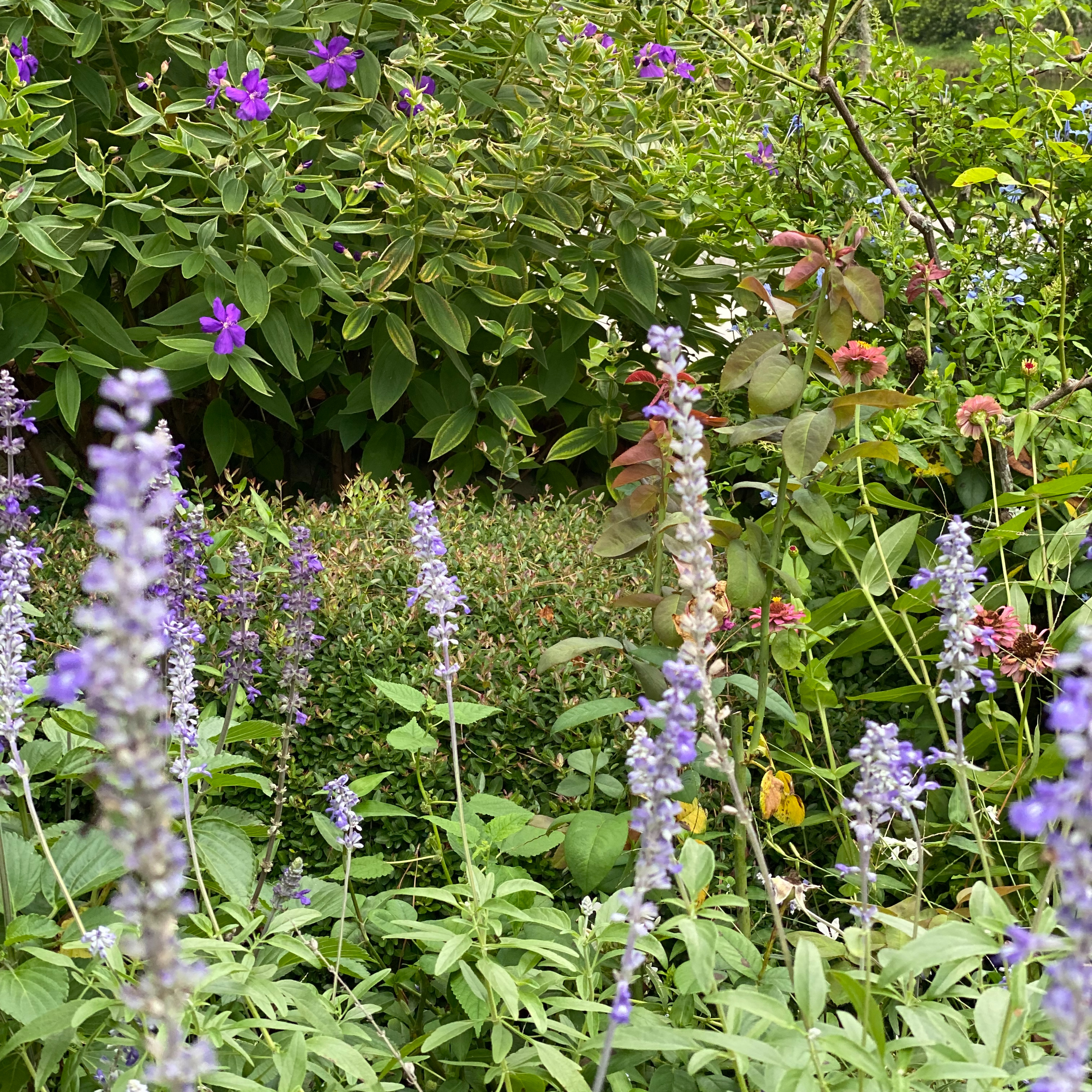 The Garden Mixer