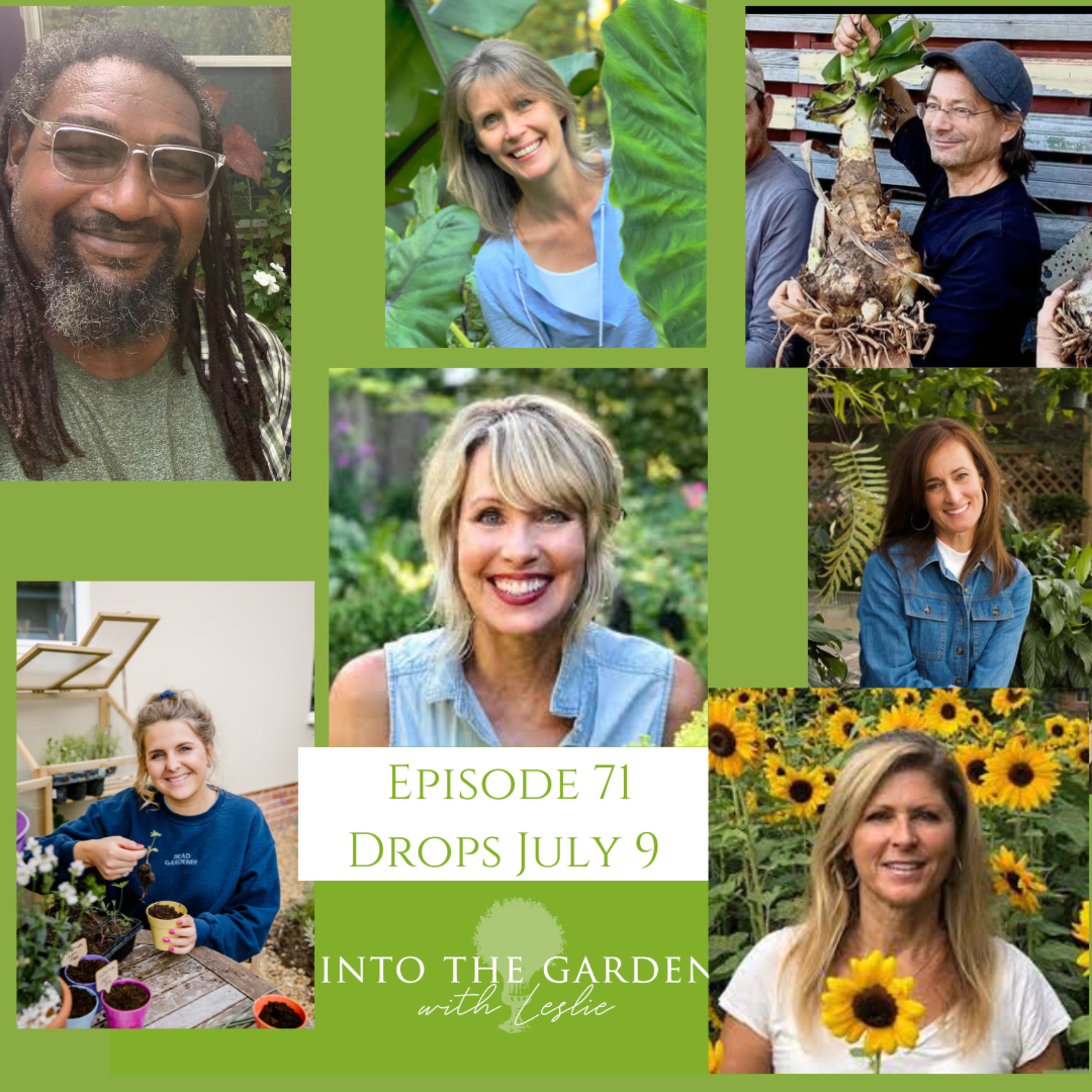 The Garden Mixer