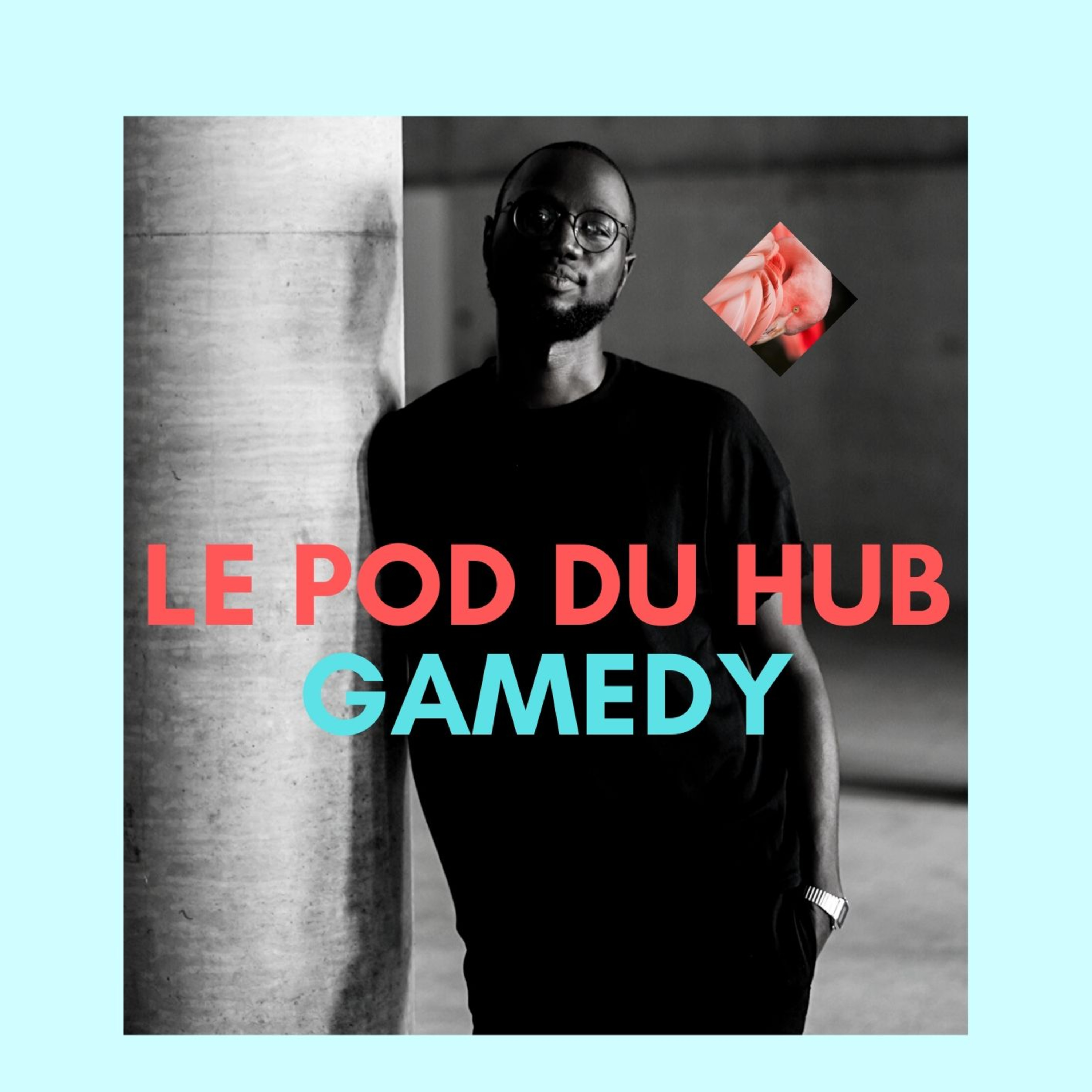 Gamedy - Papiss