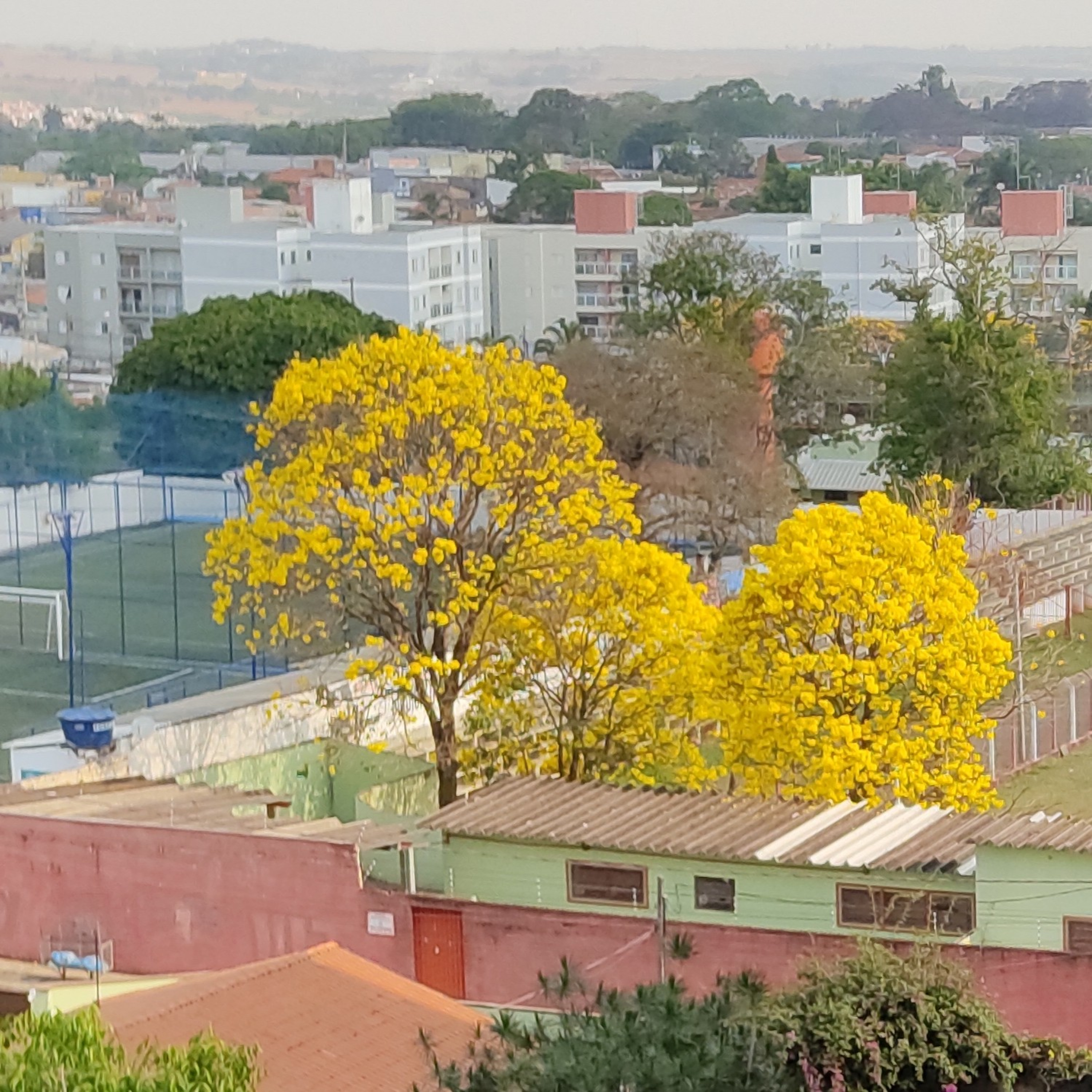 As vezes tem sons q não nós damos conta em como são únicos