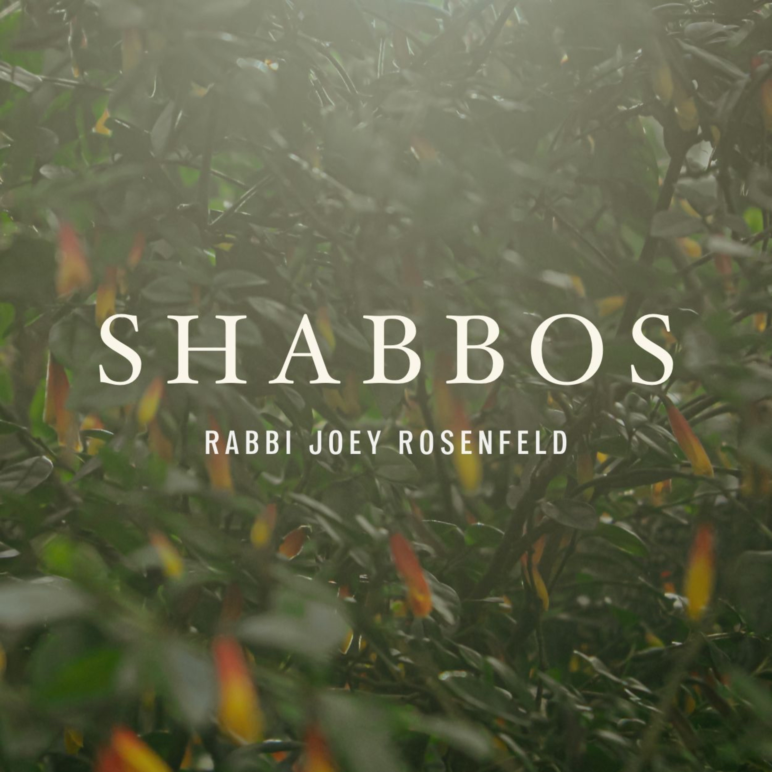 Inward with Rabbi Joey Rosenfeld
