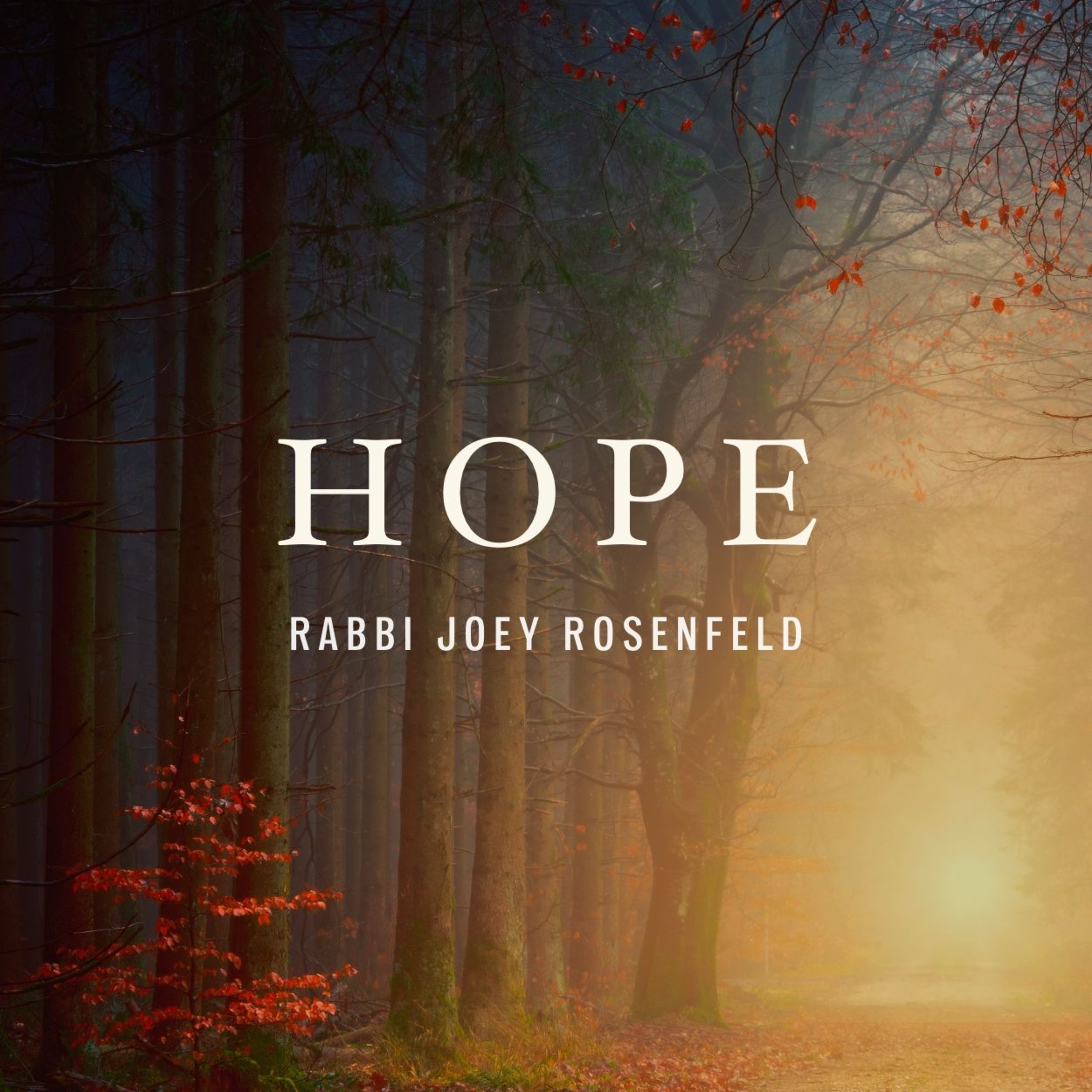 Inward with Rabbi Joey Rosenfeld