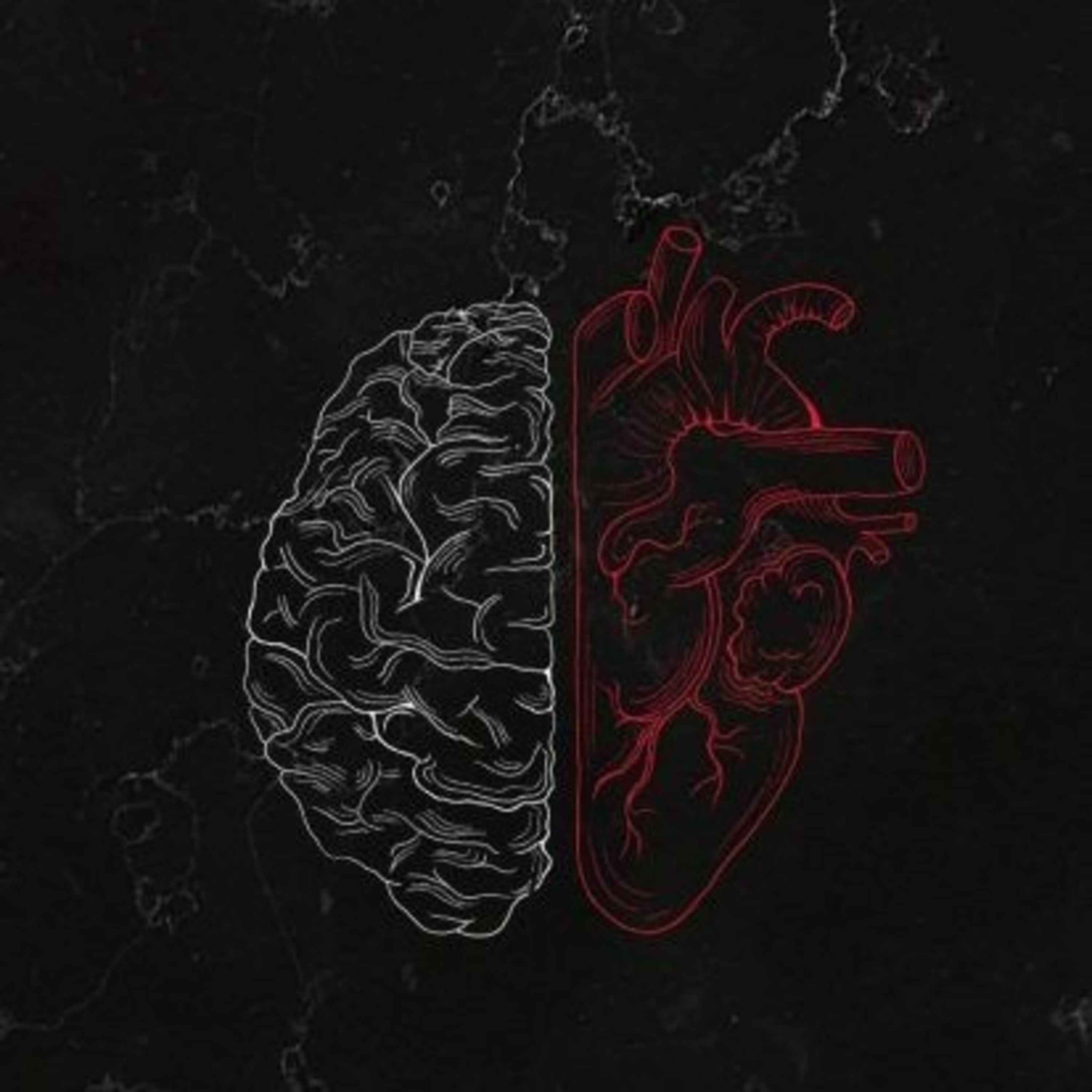 El uso de la tecnología como herramienta para la innovación social centrados en medicina.