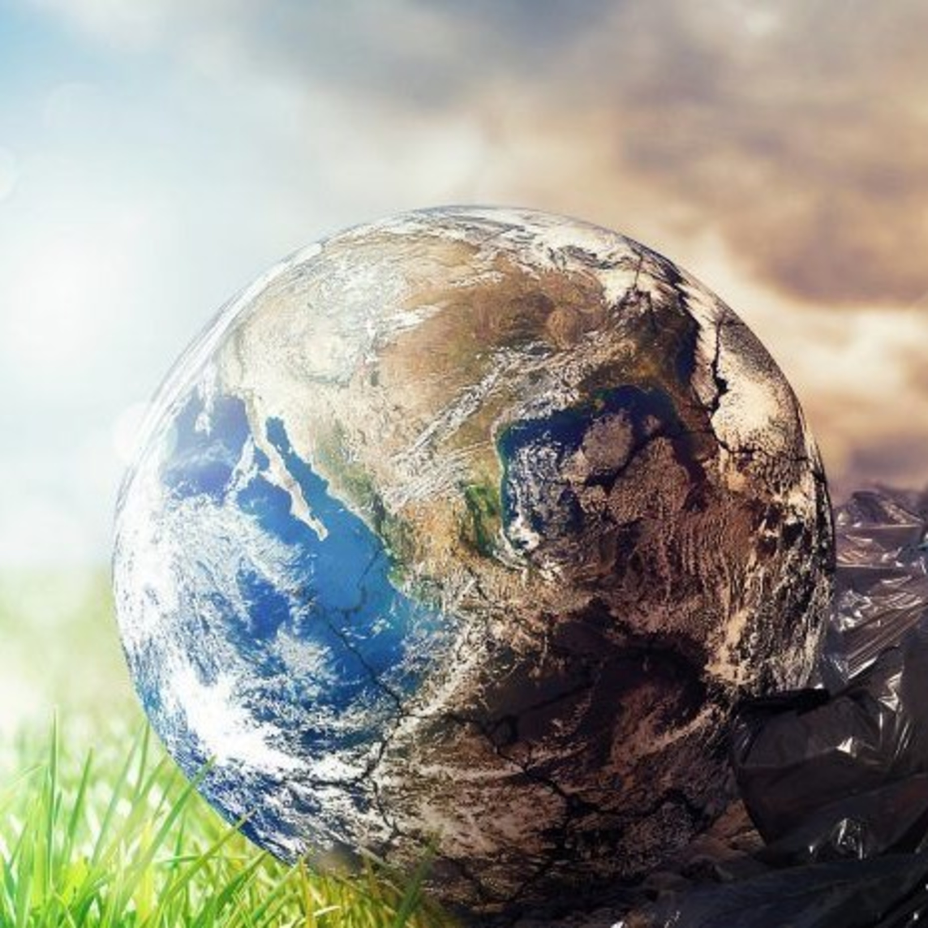 La contaminación ambiental en nuestro planeta.