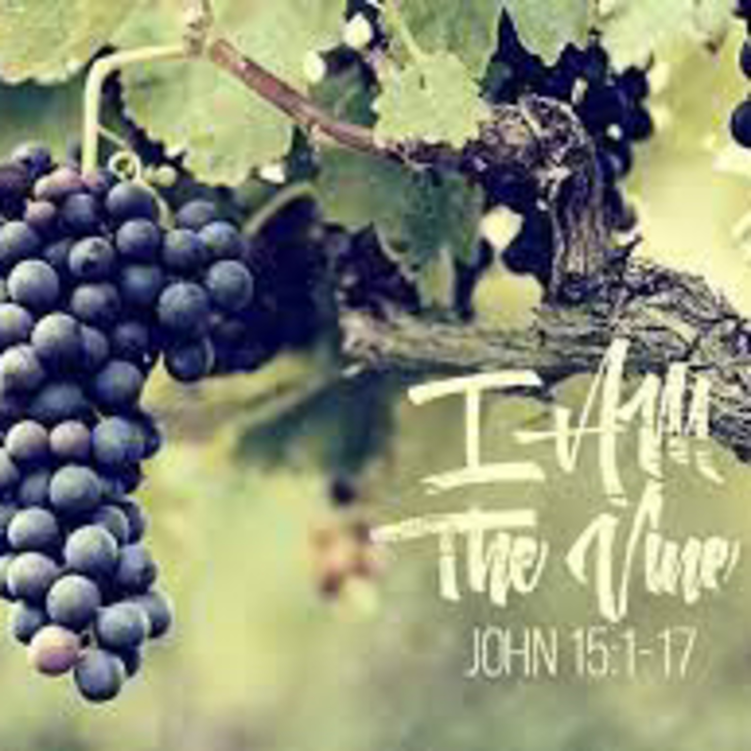 Rural Midwestern Pastor