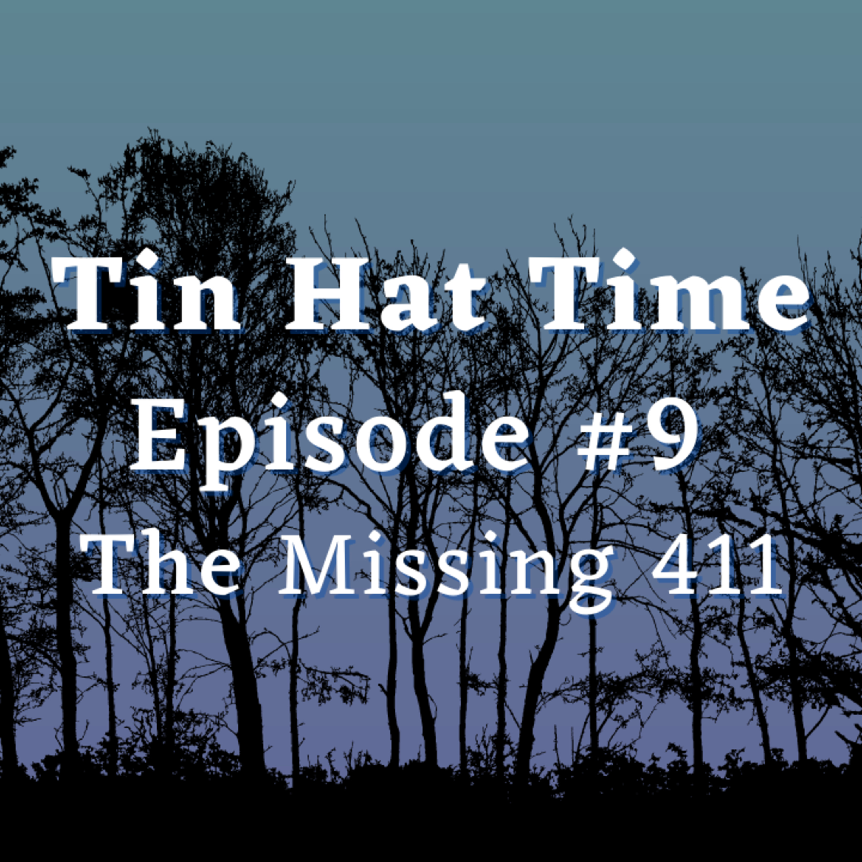 Episode #9 - The Missing 411 episode artwork