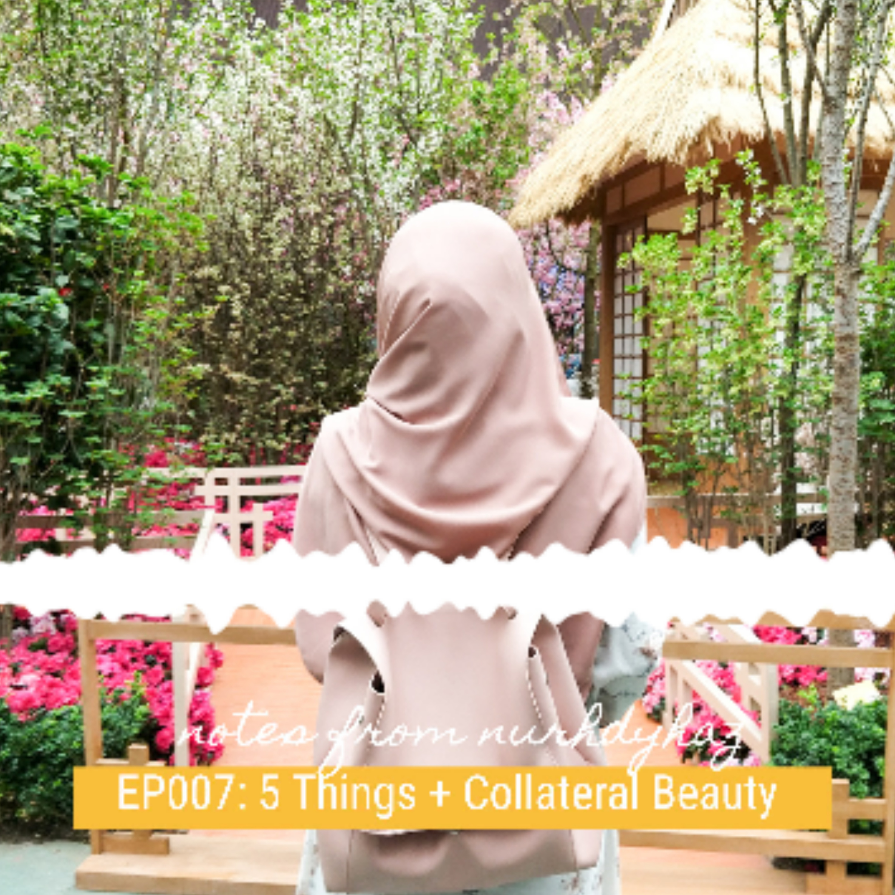 EP007: 5 Things + Collateral Beauty episode artwork