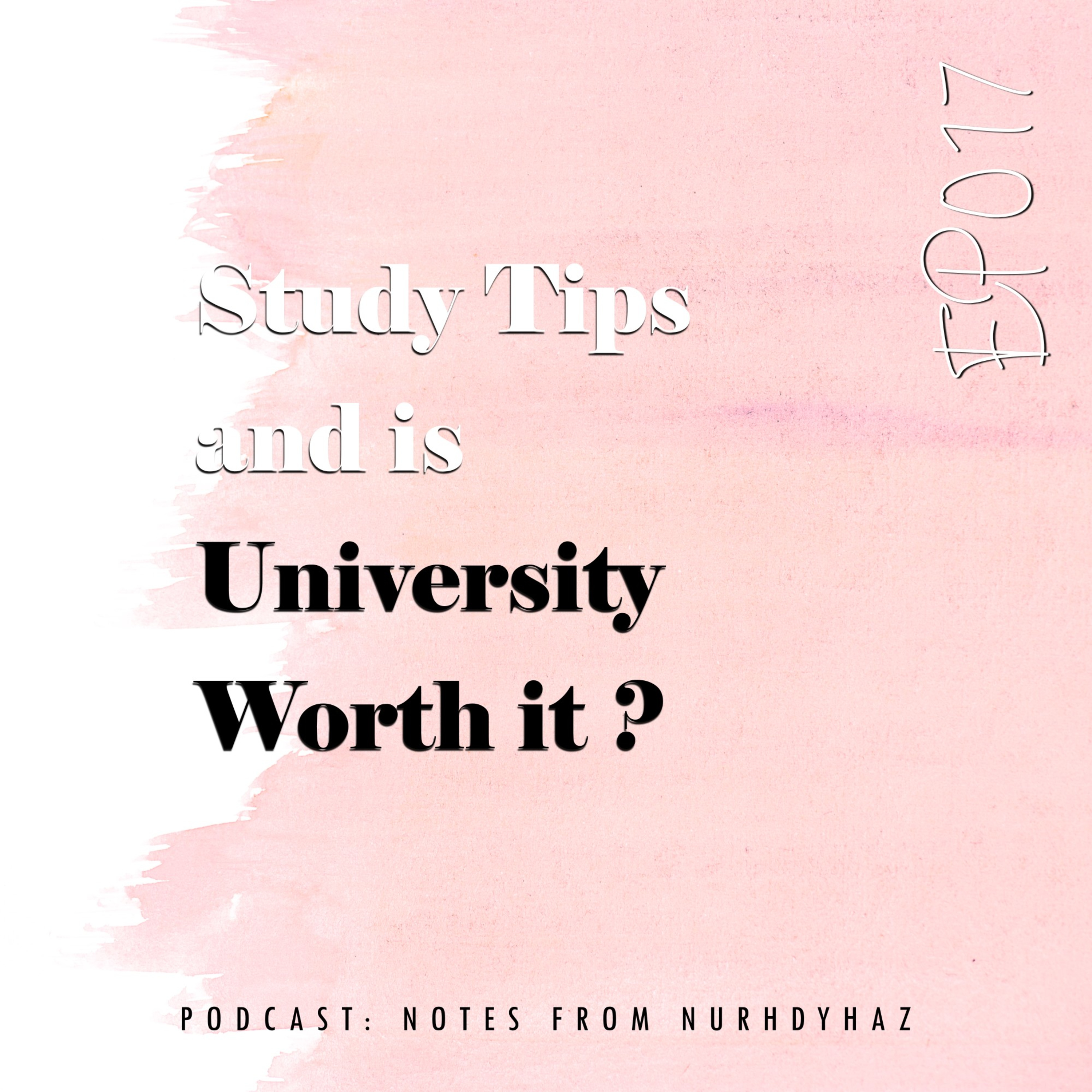 EP017: Study Tips & Is University Worth It? episode artwork