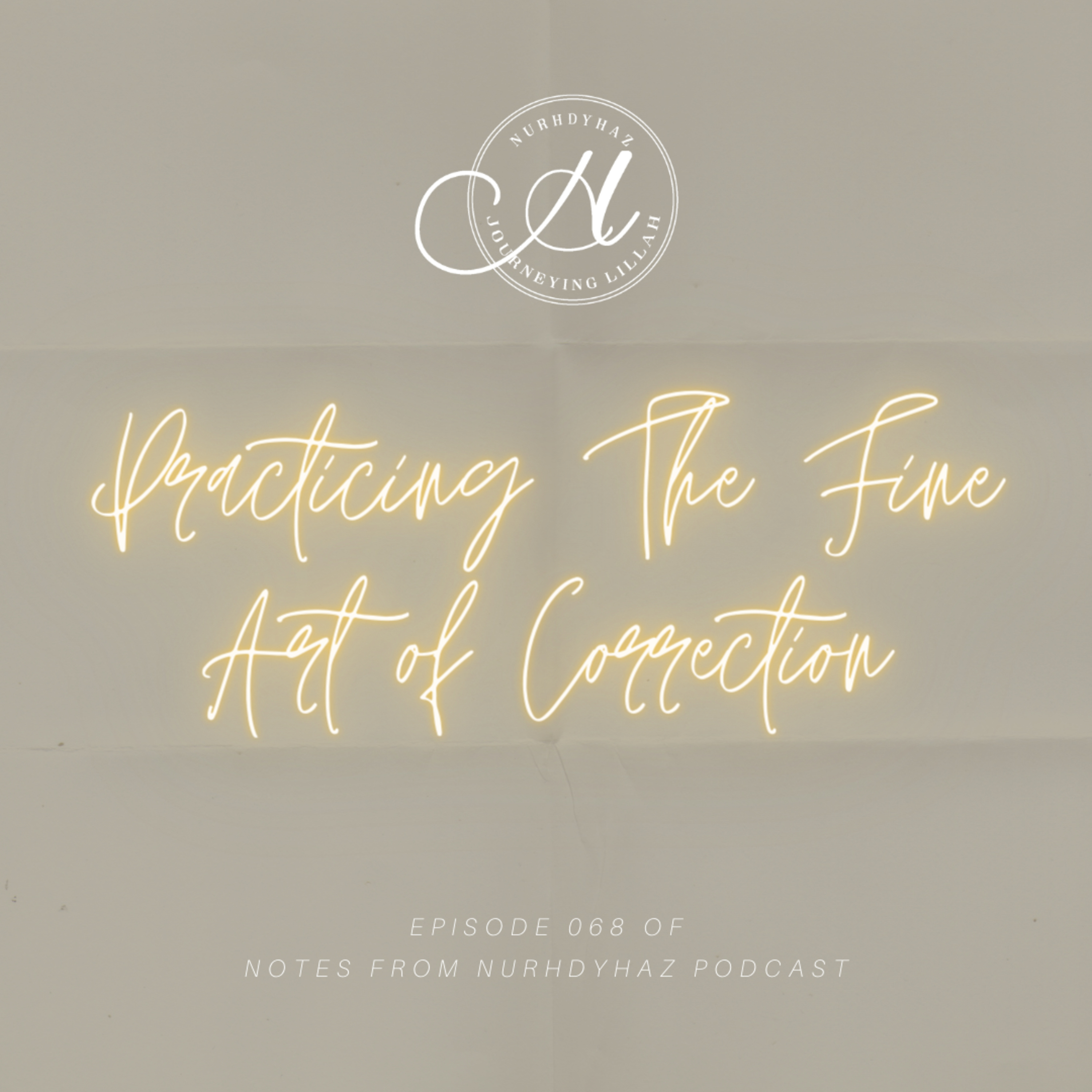 EP068: Practicing The Fine Art Of Correction episode artwork