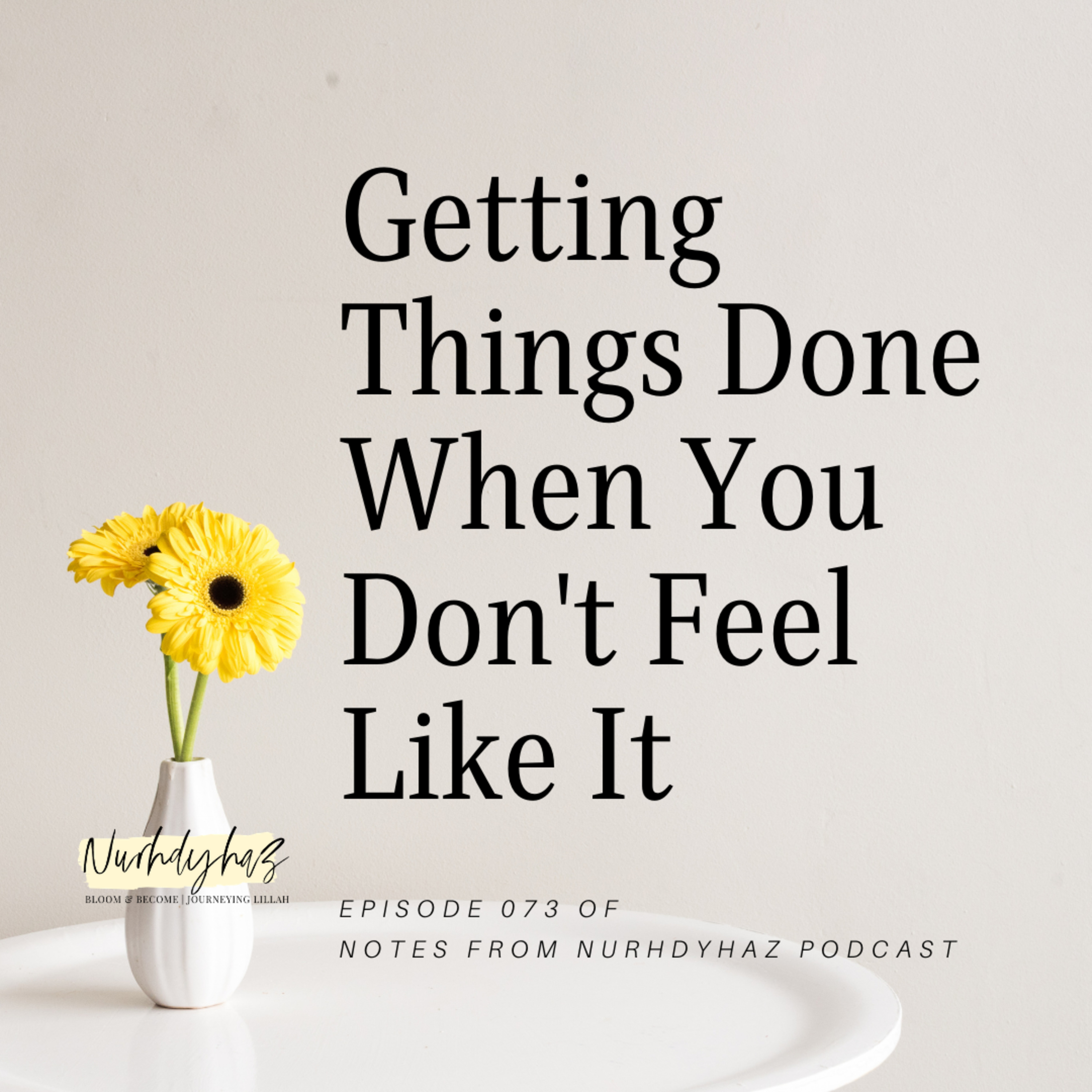 EP073: Getting Things Done When You Don't Feel Like It episode artwork